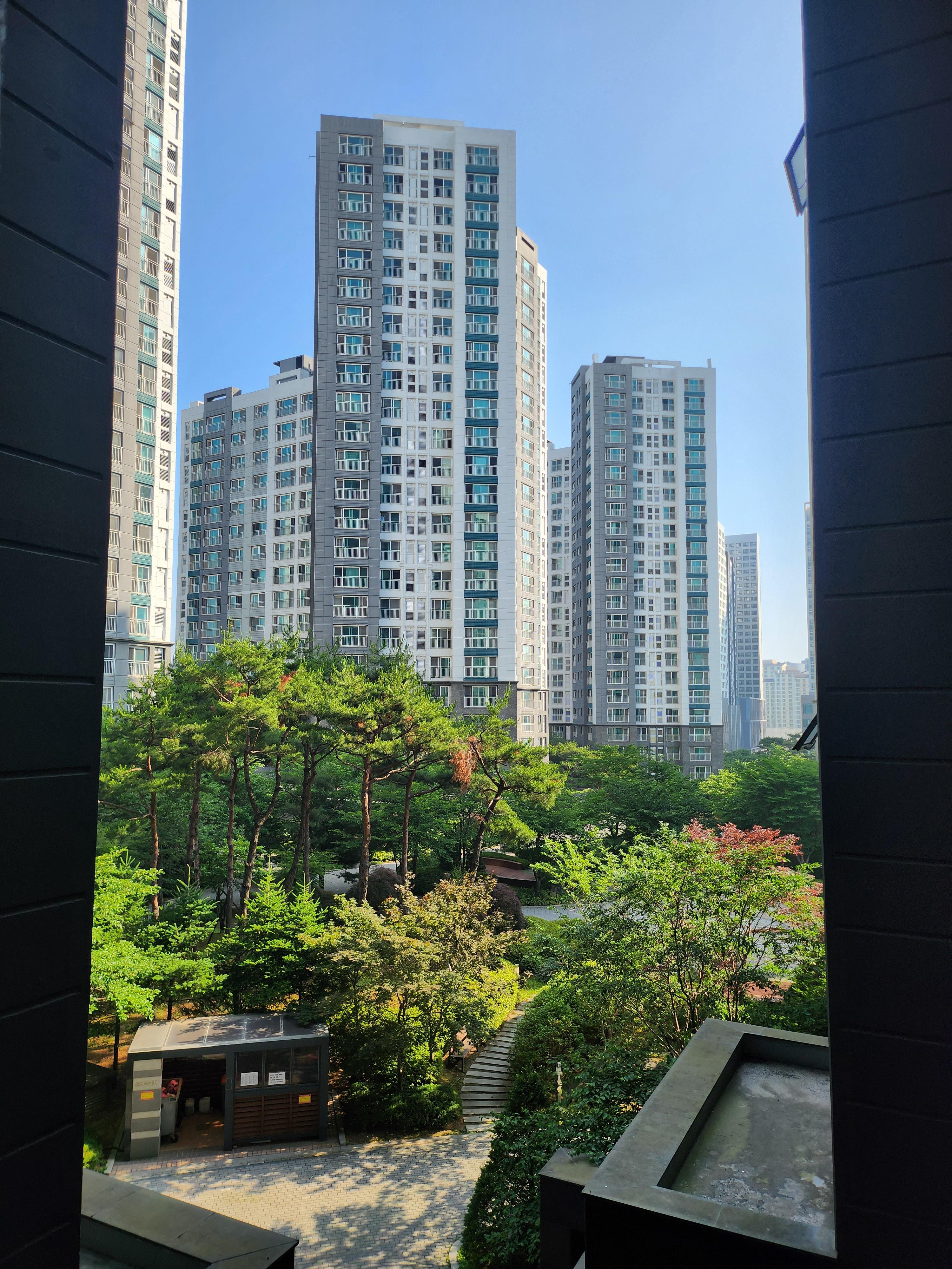 도내동 실거주자 사진 5