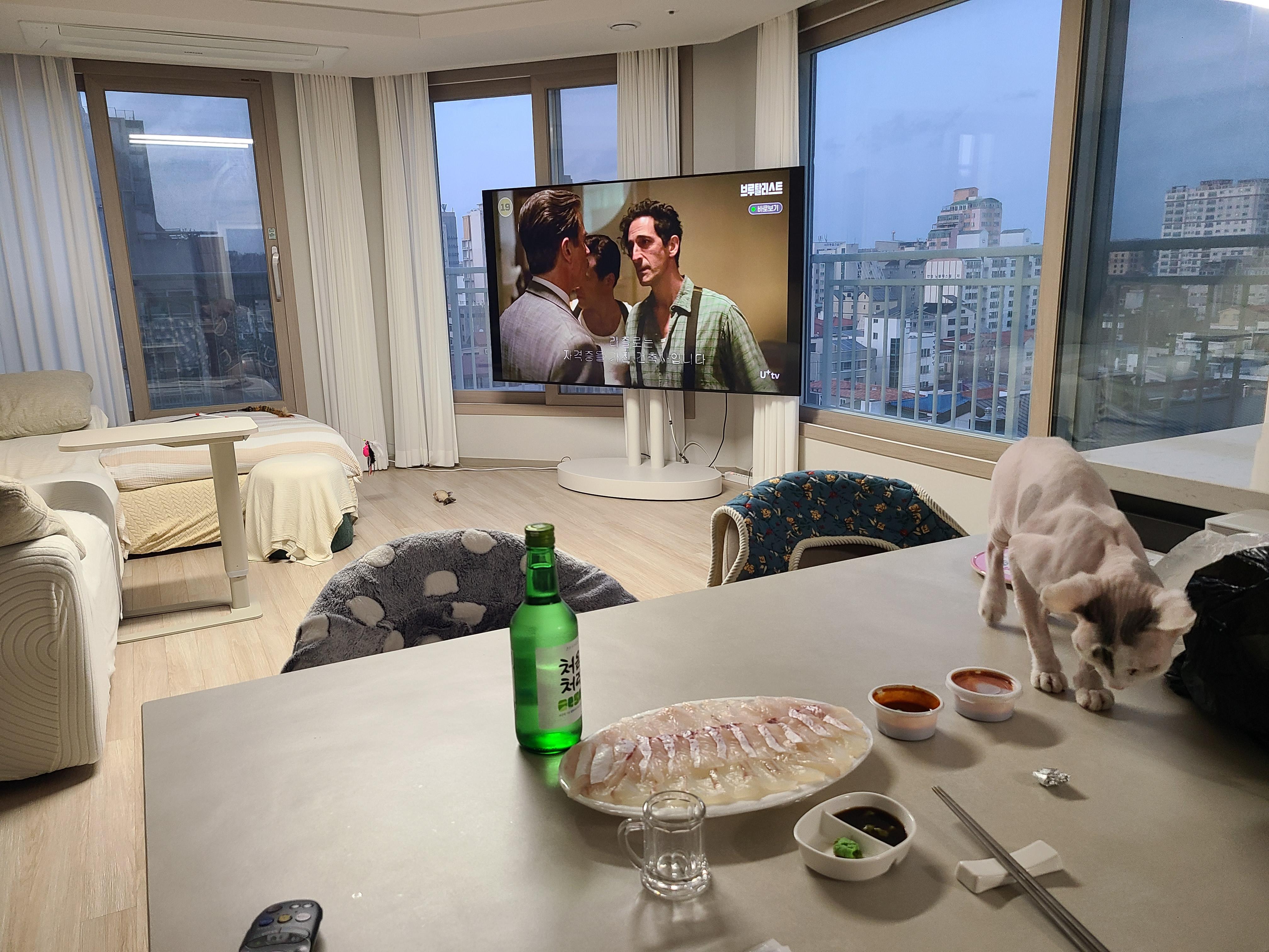 연동 실거주자 사진 5