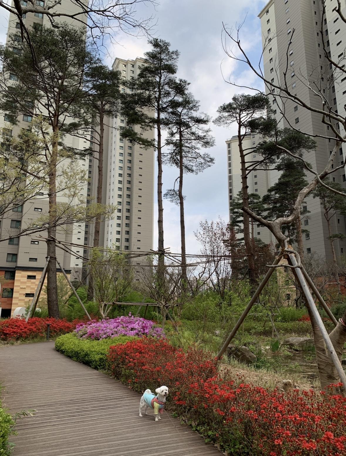 동천동 실거주자 사진 8