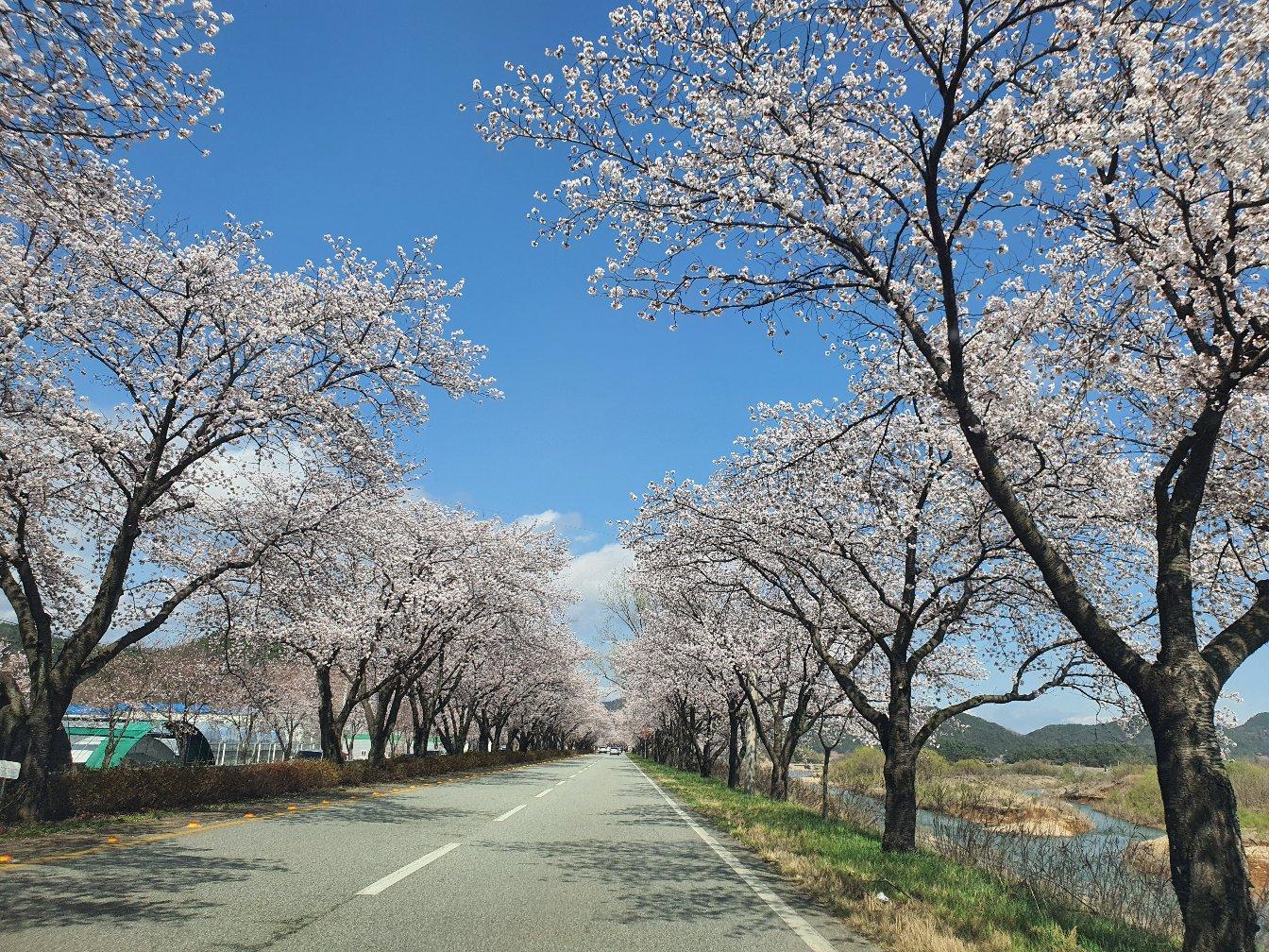 합천읍 실거주자 사진 2
