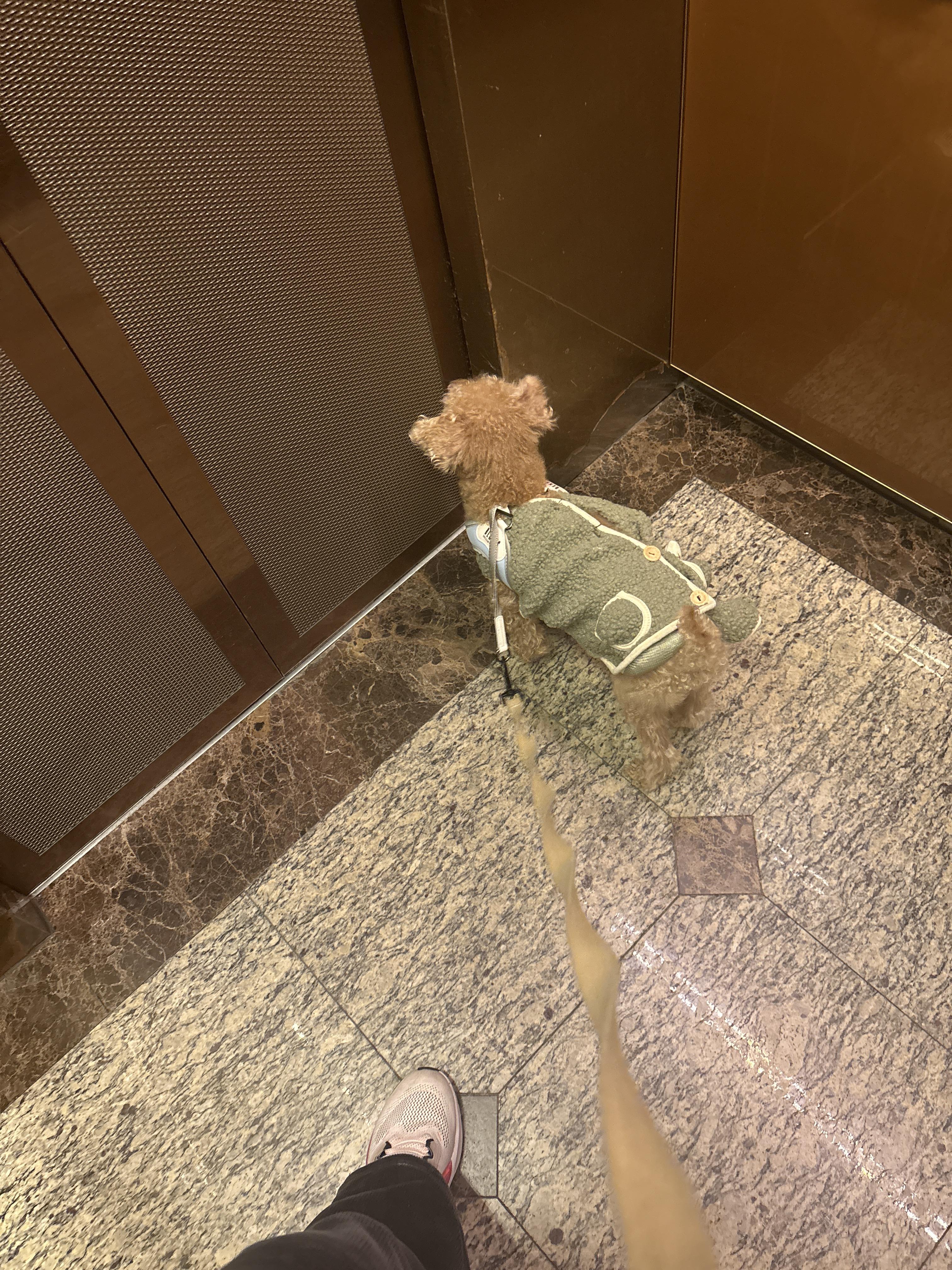 우산동 실거주자 사진 1