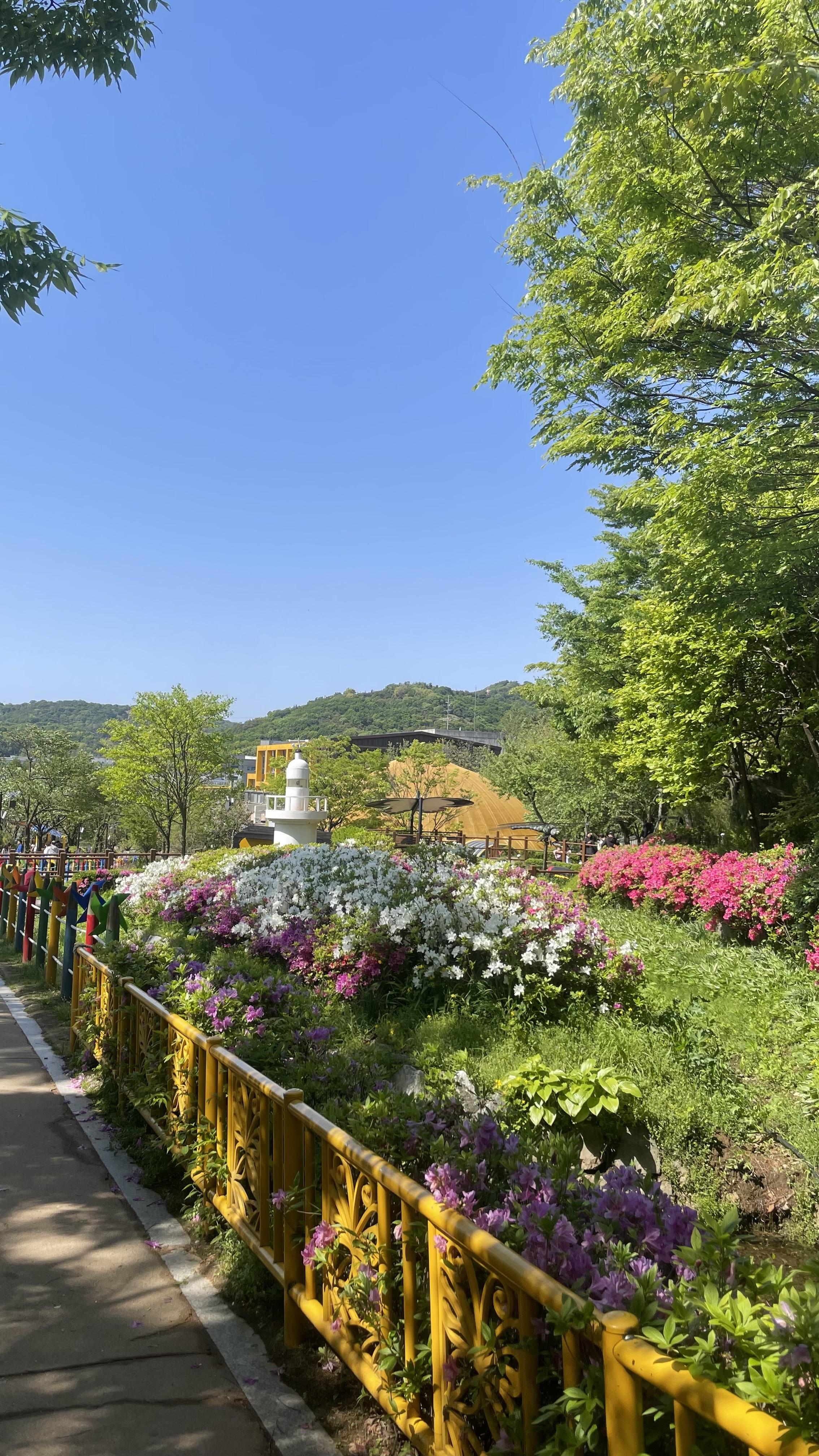 청천동 실거주자 사진 2