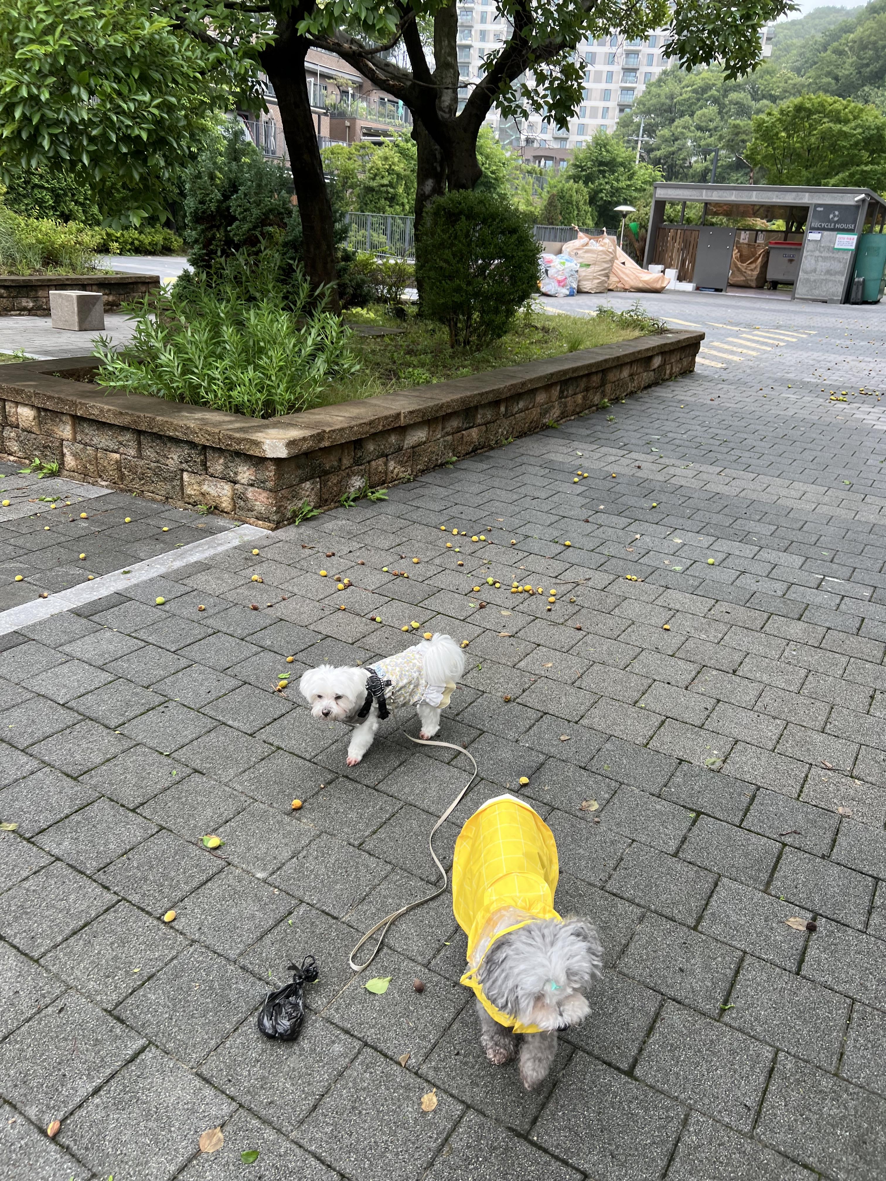 신현동 실거주자 사진 3