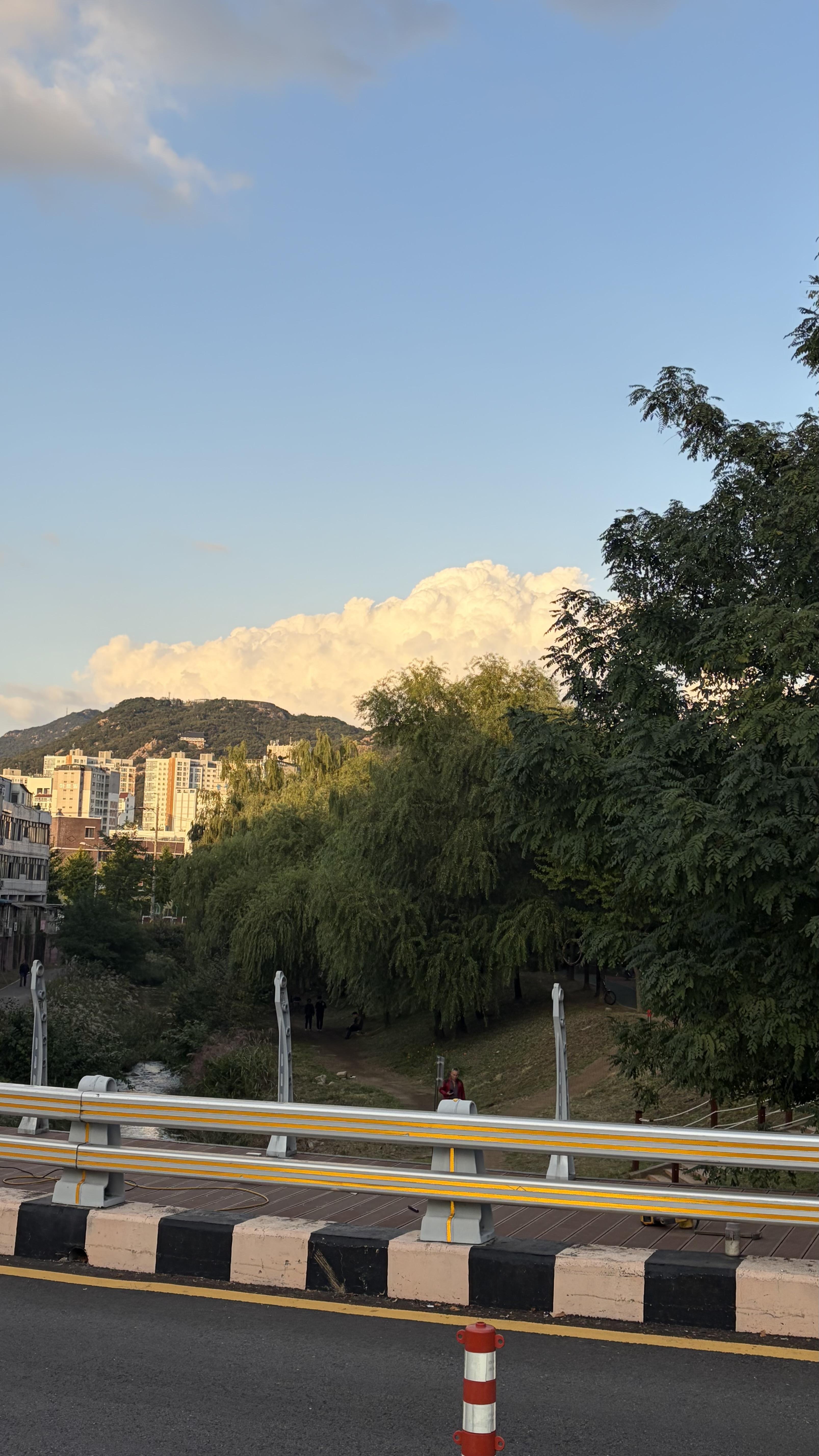 안양동 실거주자 사진 2