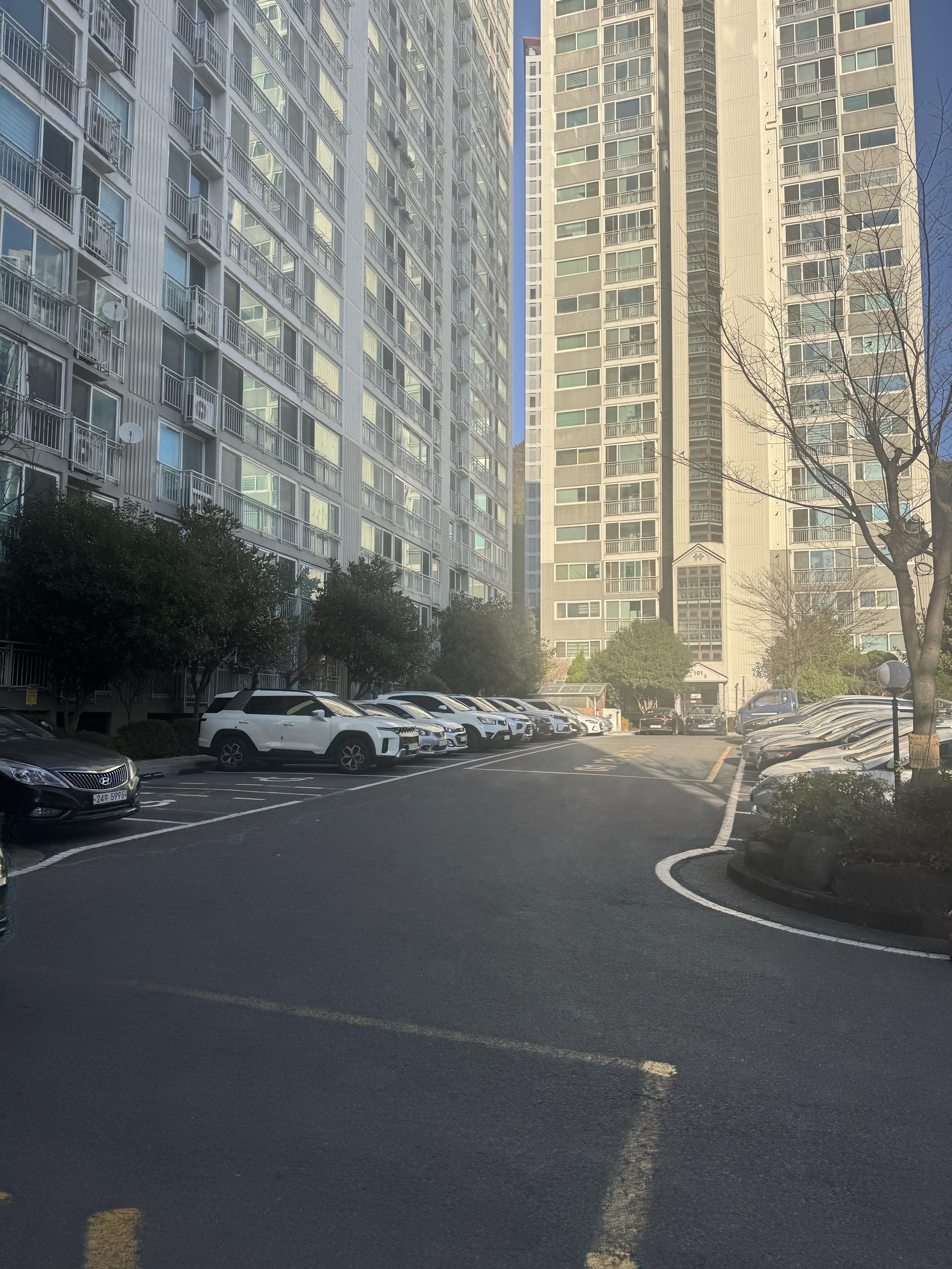 양덕동 실거주자 사진 6