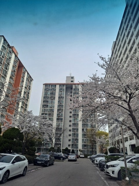 문화동 실거주자 사진 4