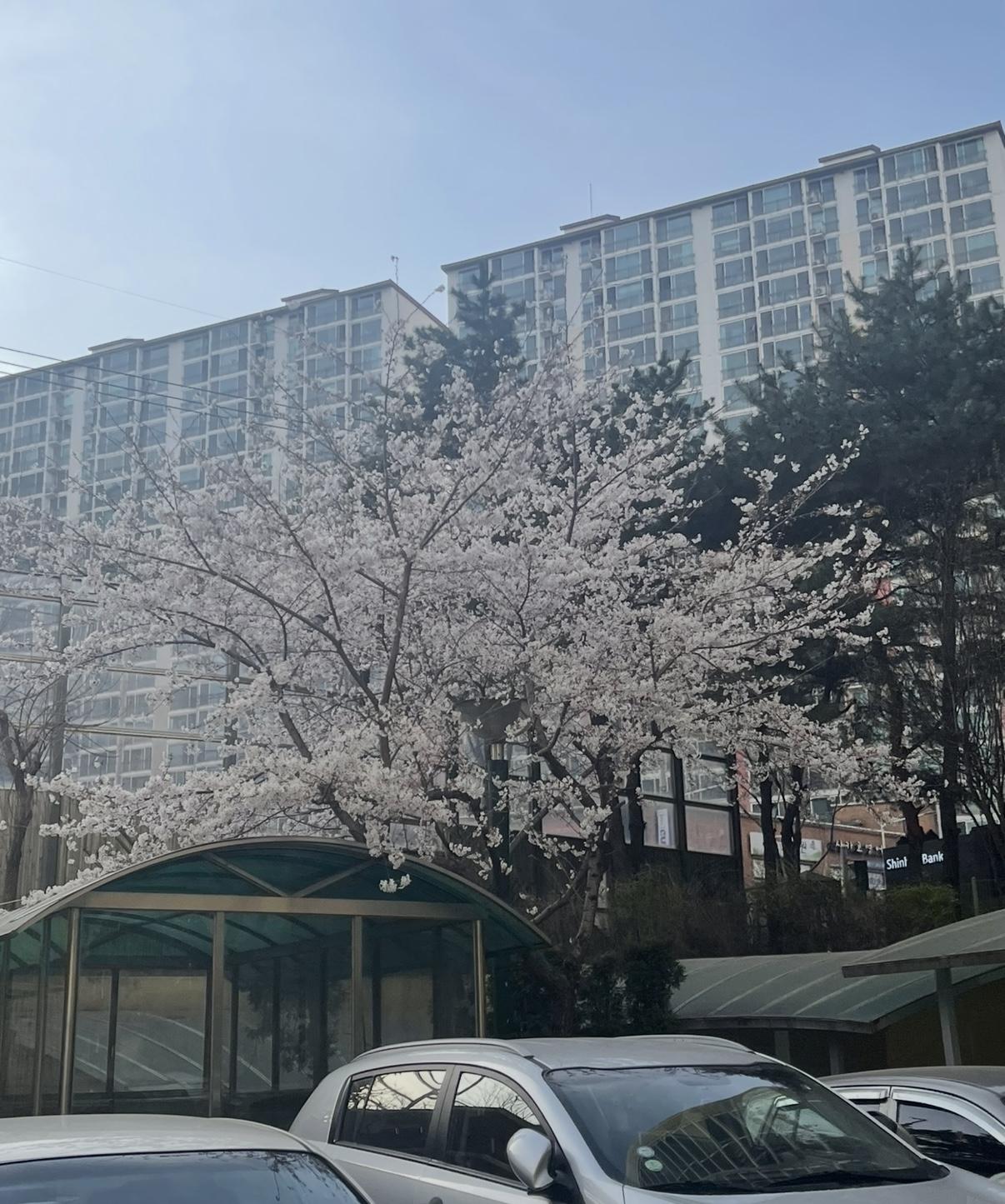 범박동 실거주자 사진 4