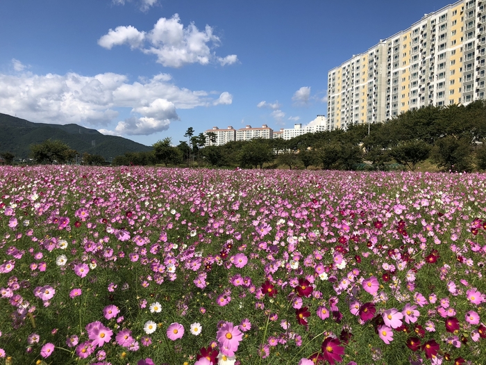 삼문동 실거주자 사진 3