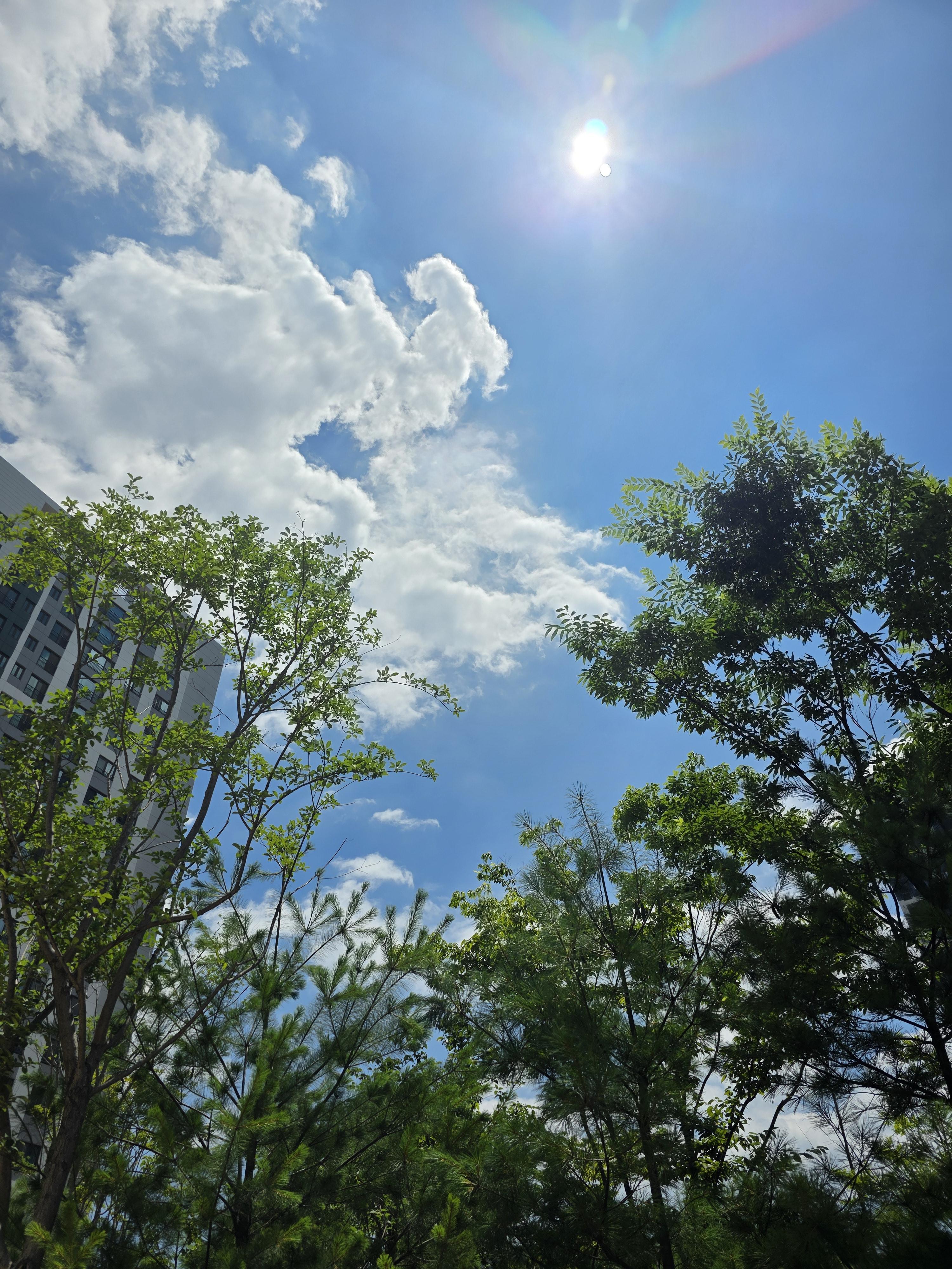 송정동 실거주자 사진 1
