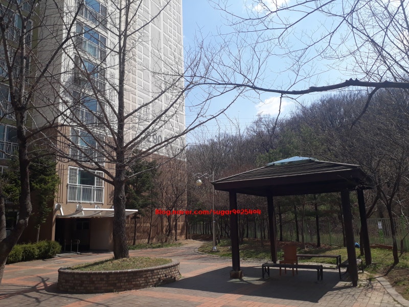 동백동 실거주자 사진 8