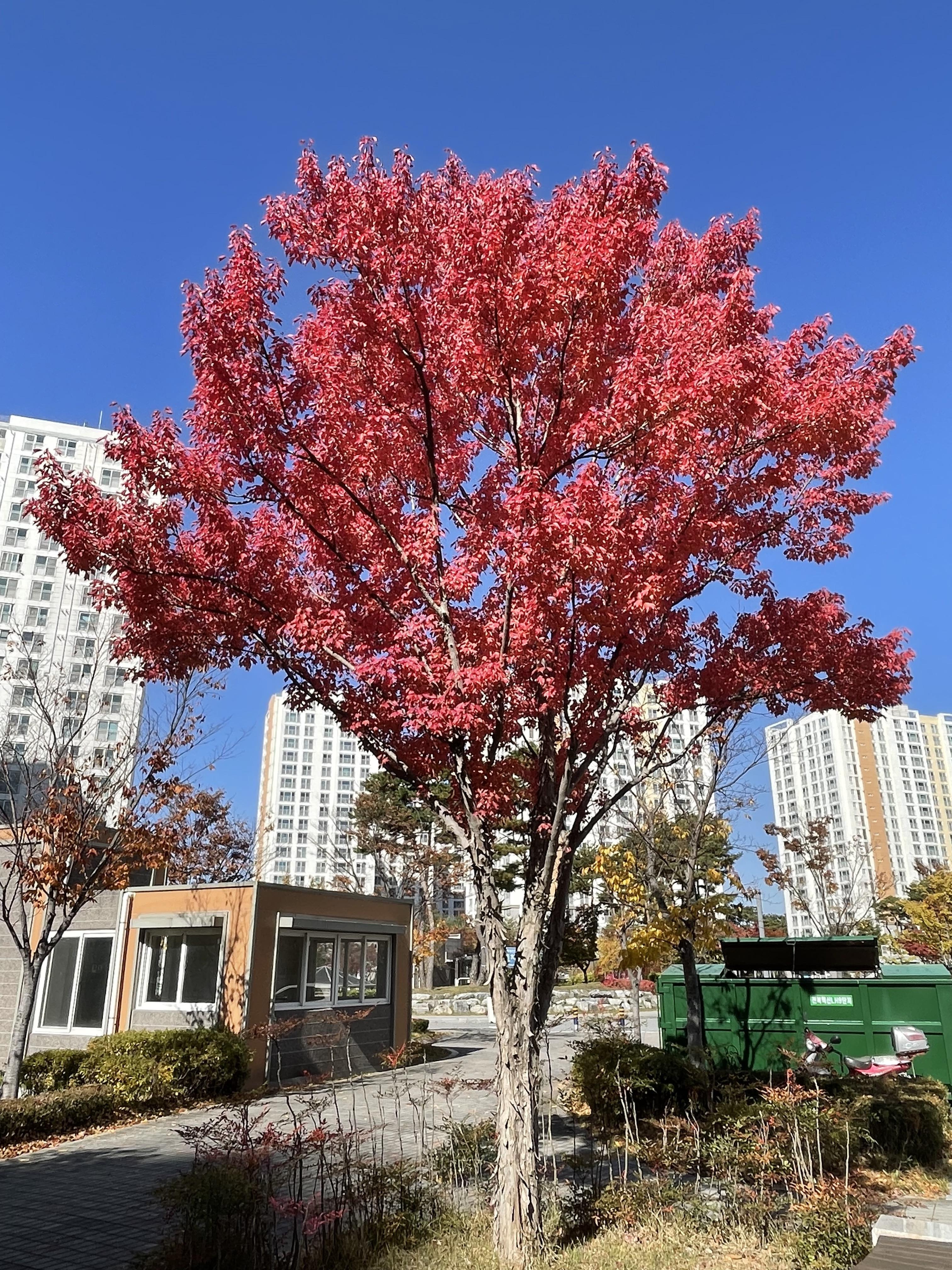 이서면 실거주자 사진 1