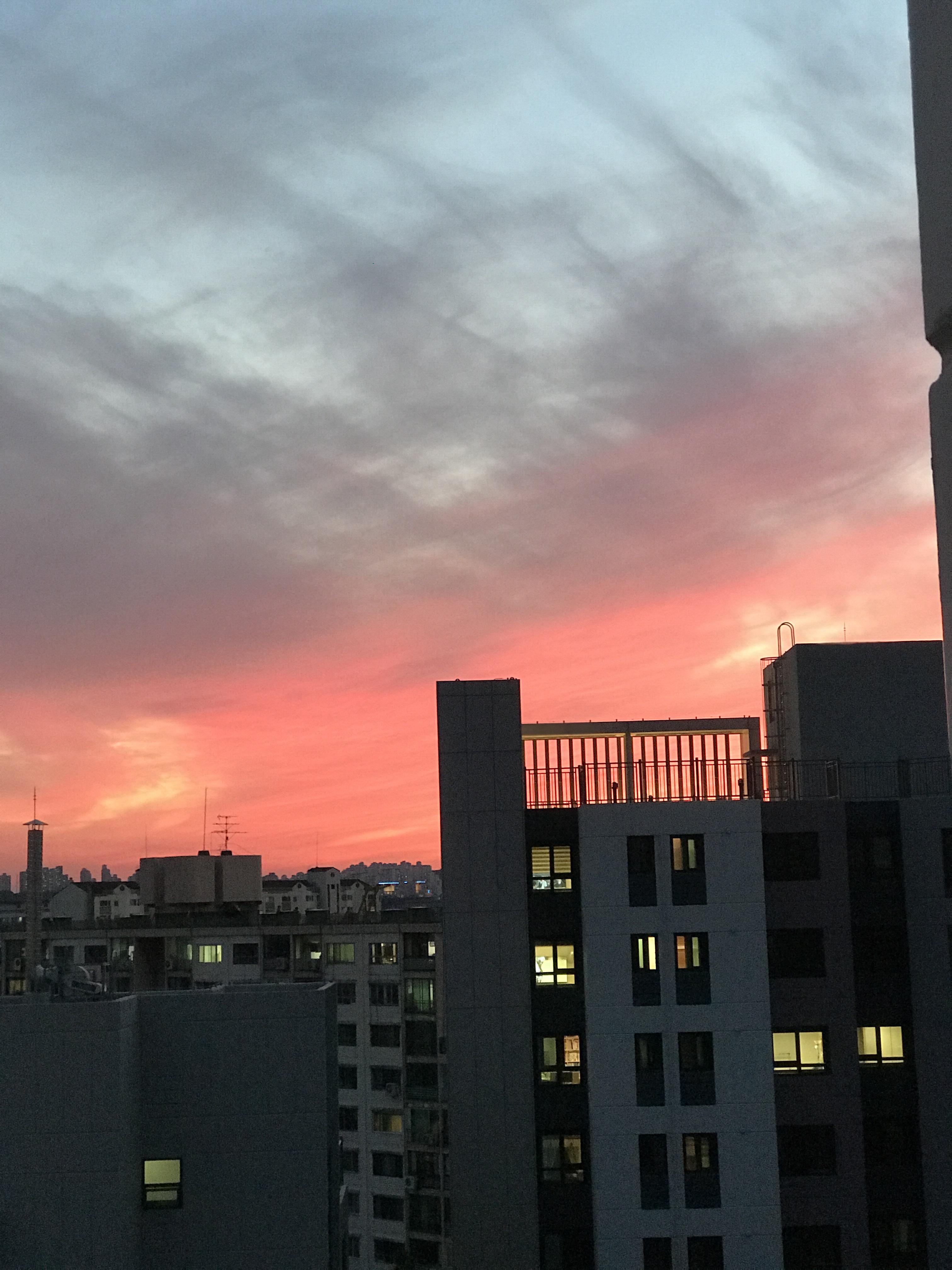 방배동 실거주자 사진 8