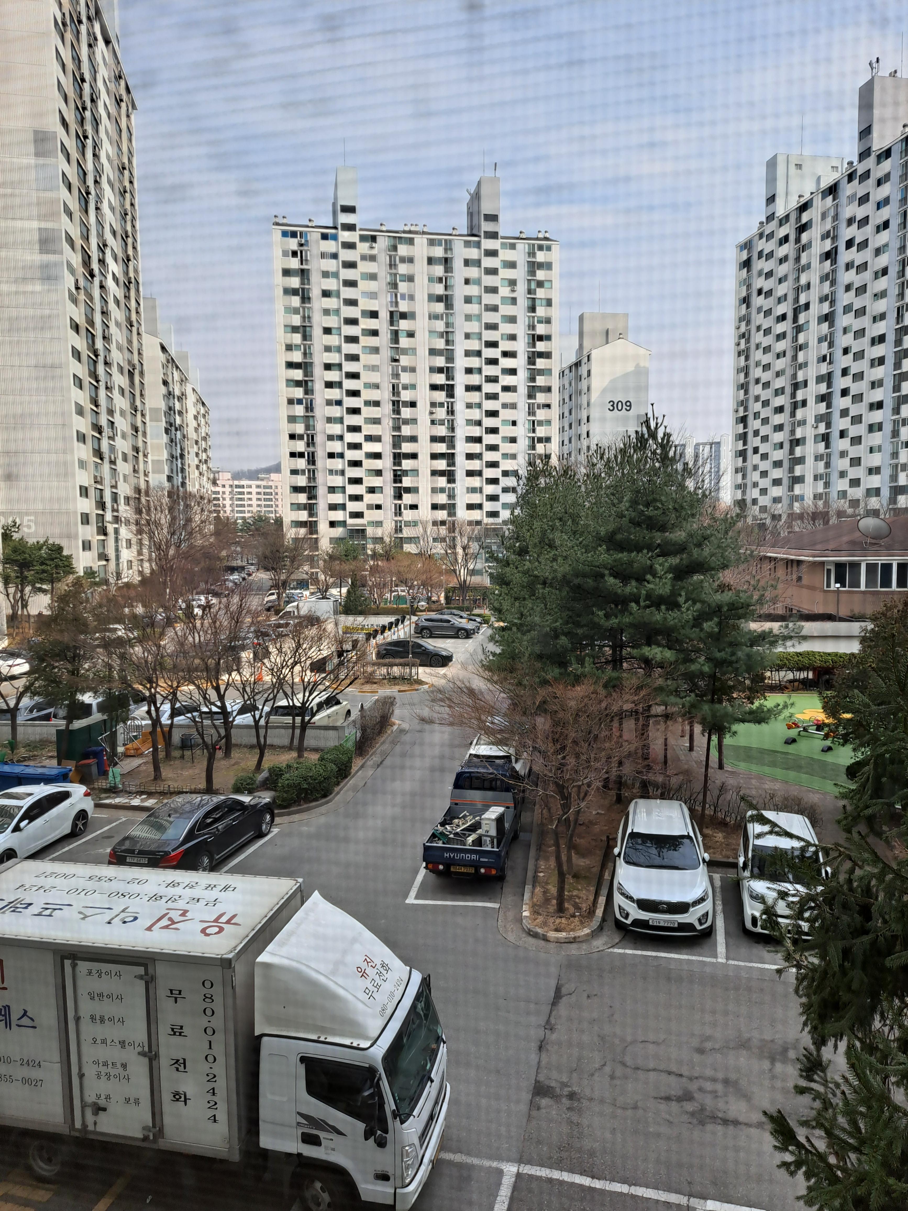 당동 실거주자 사진 7