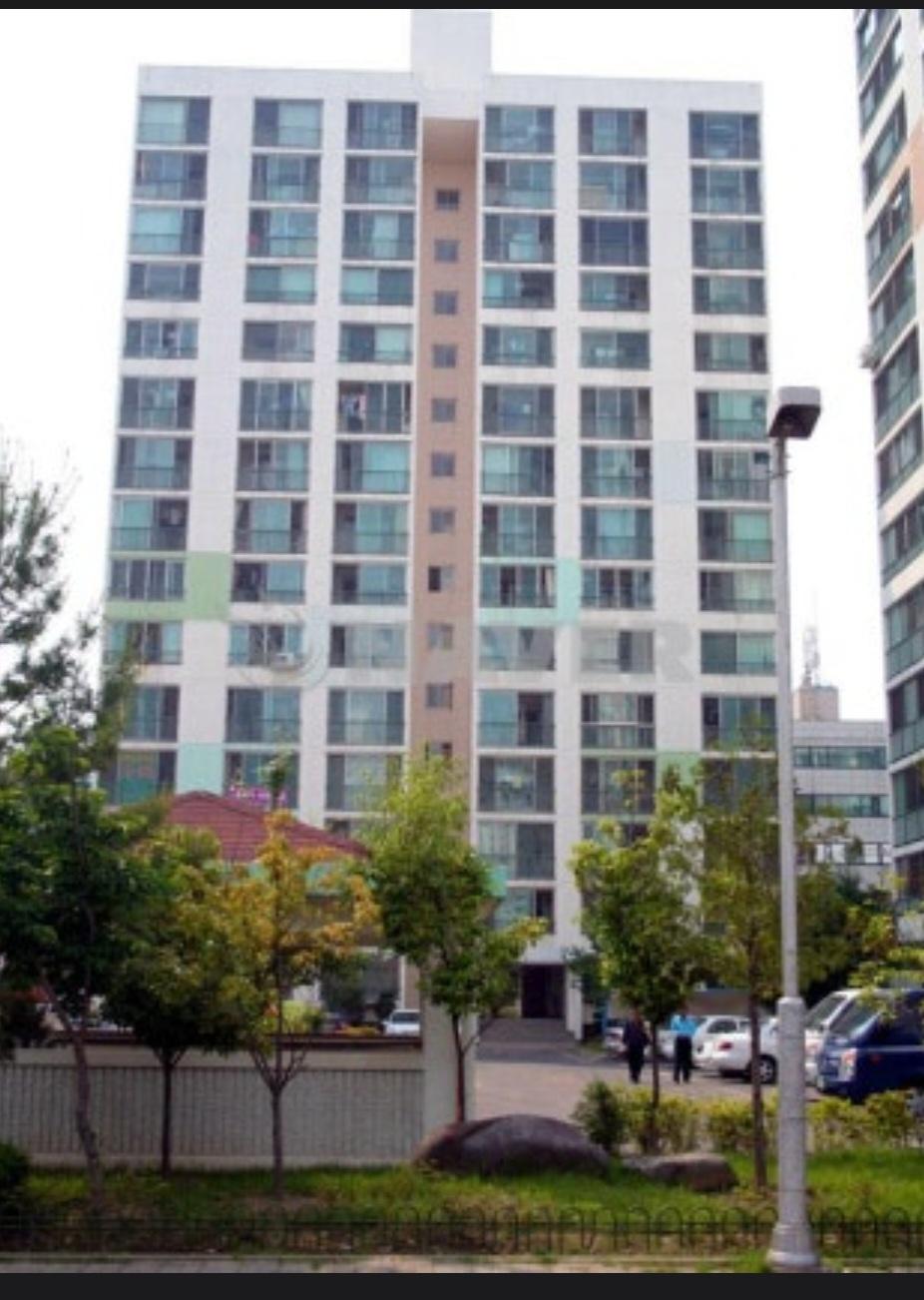 신안동 실거주자 사진 6