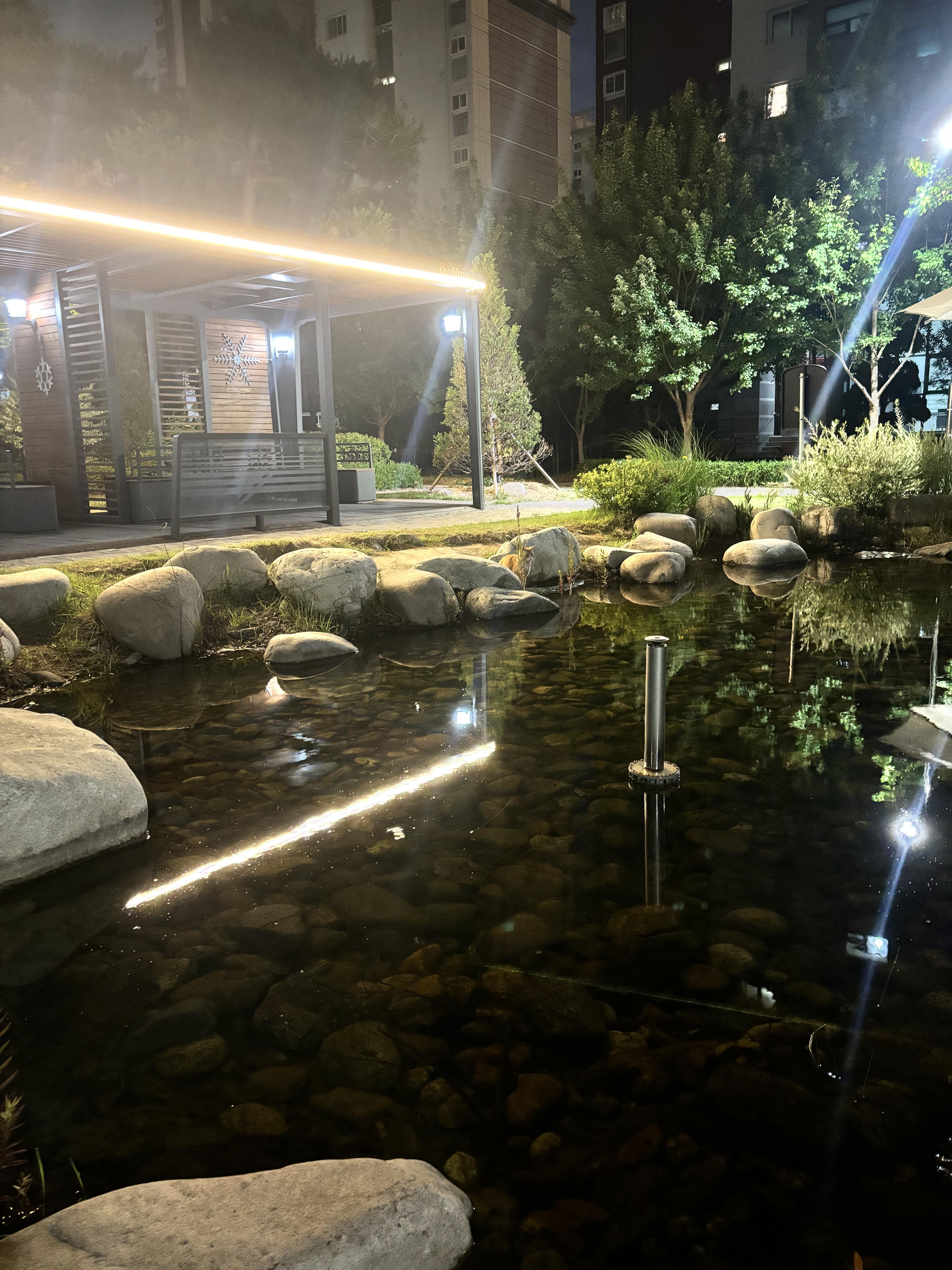 고덕동 실거주자 사진 8