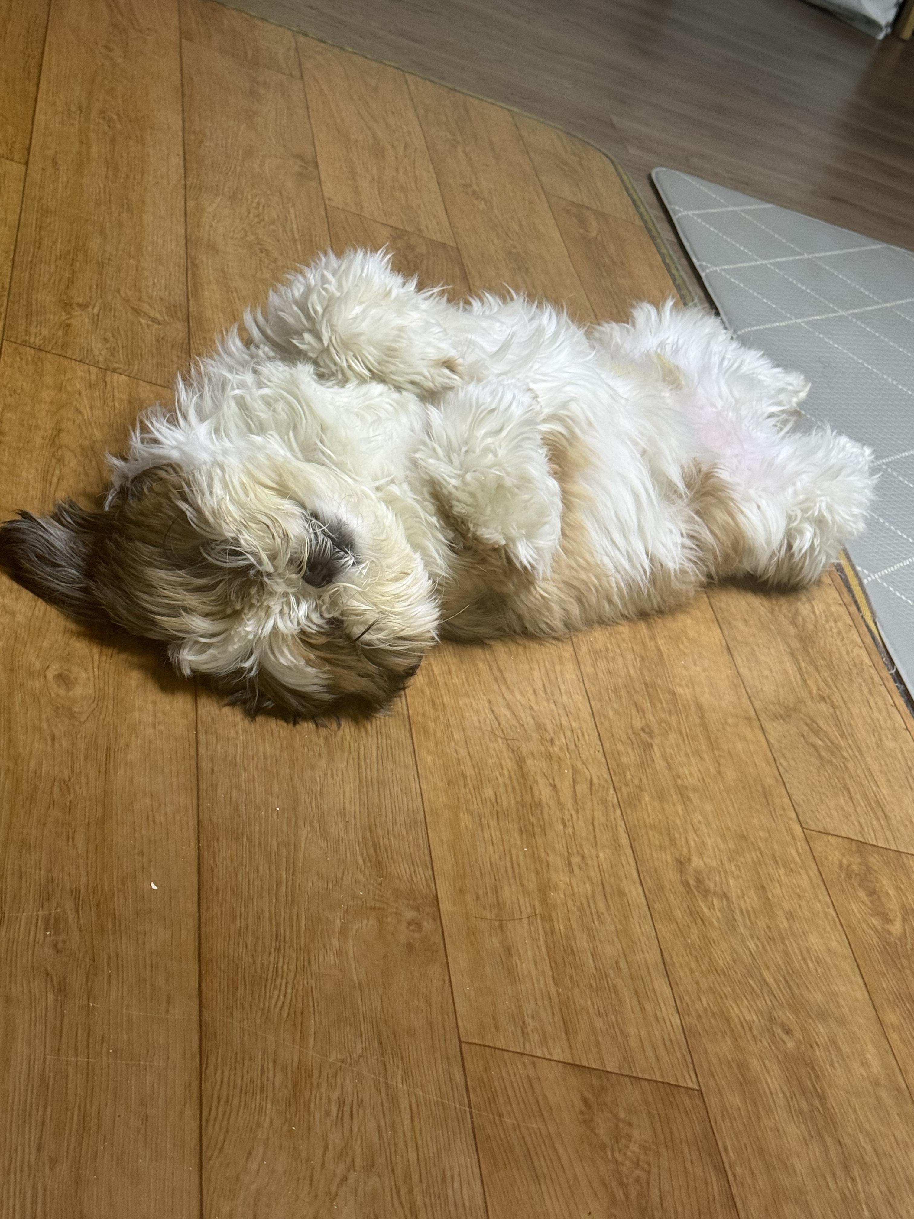 퇴계동 실거주자 사진 3