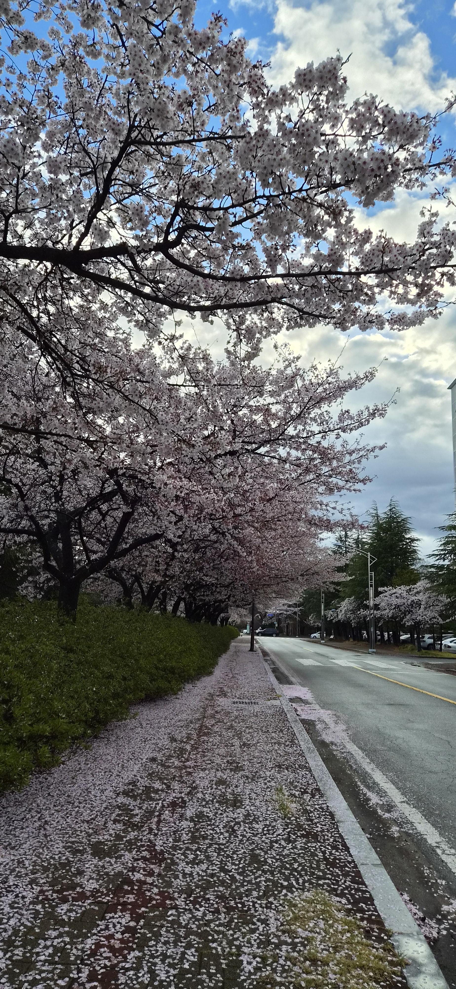 금호동 실거주자 사진 1