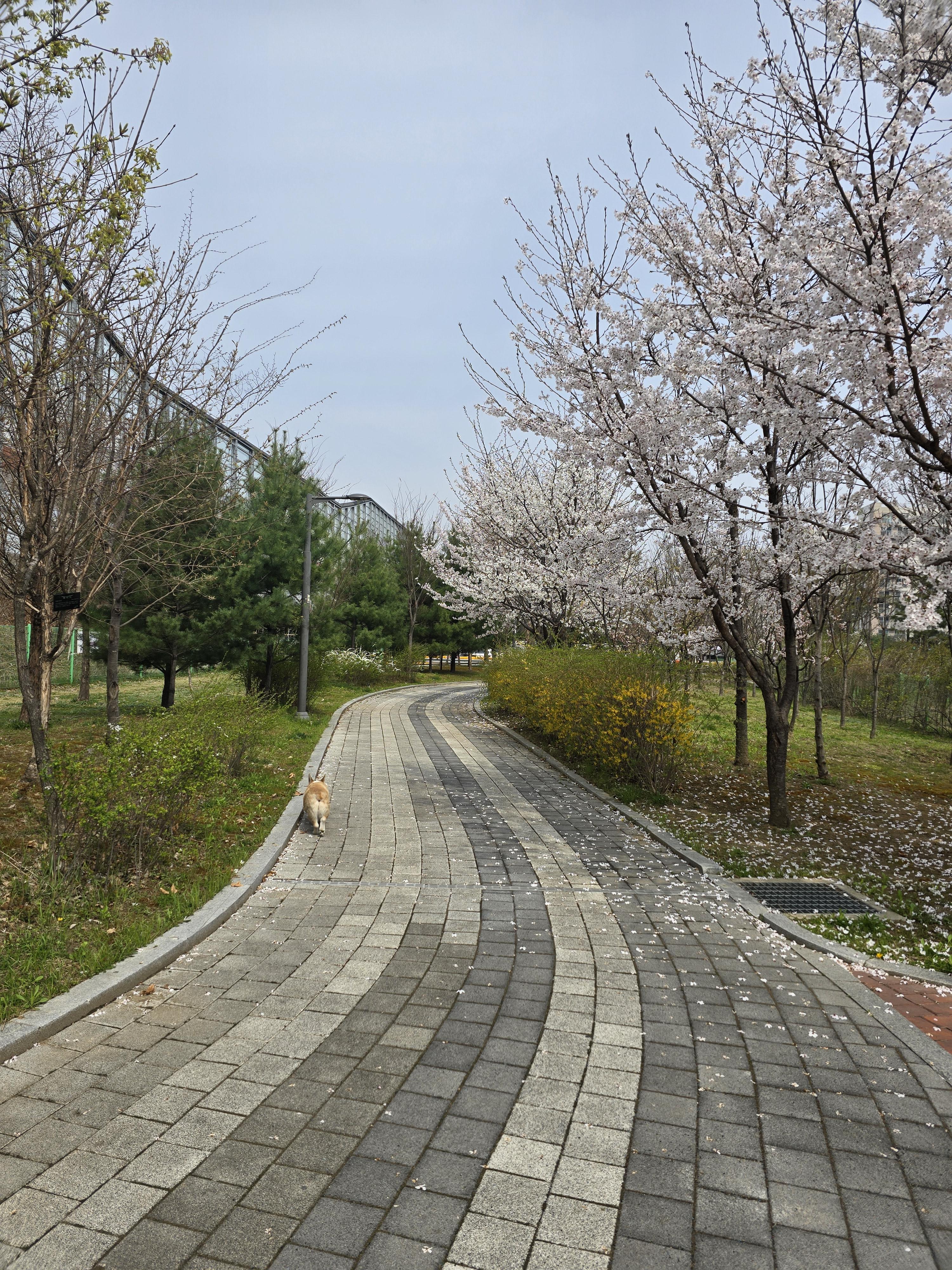 성남동 실거주자 사진 4