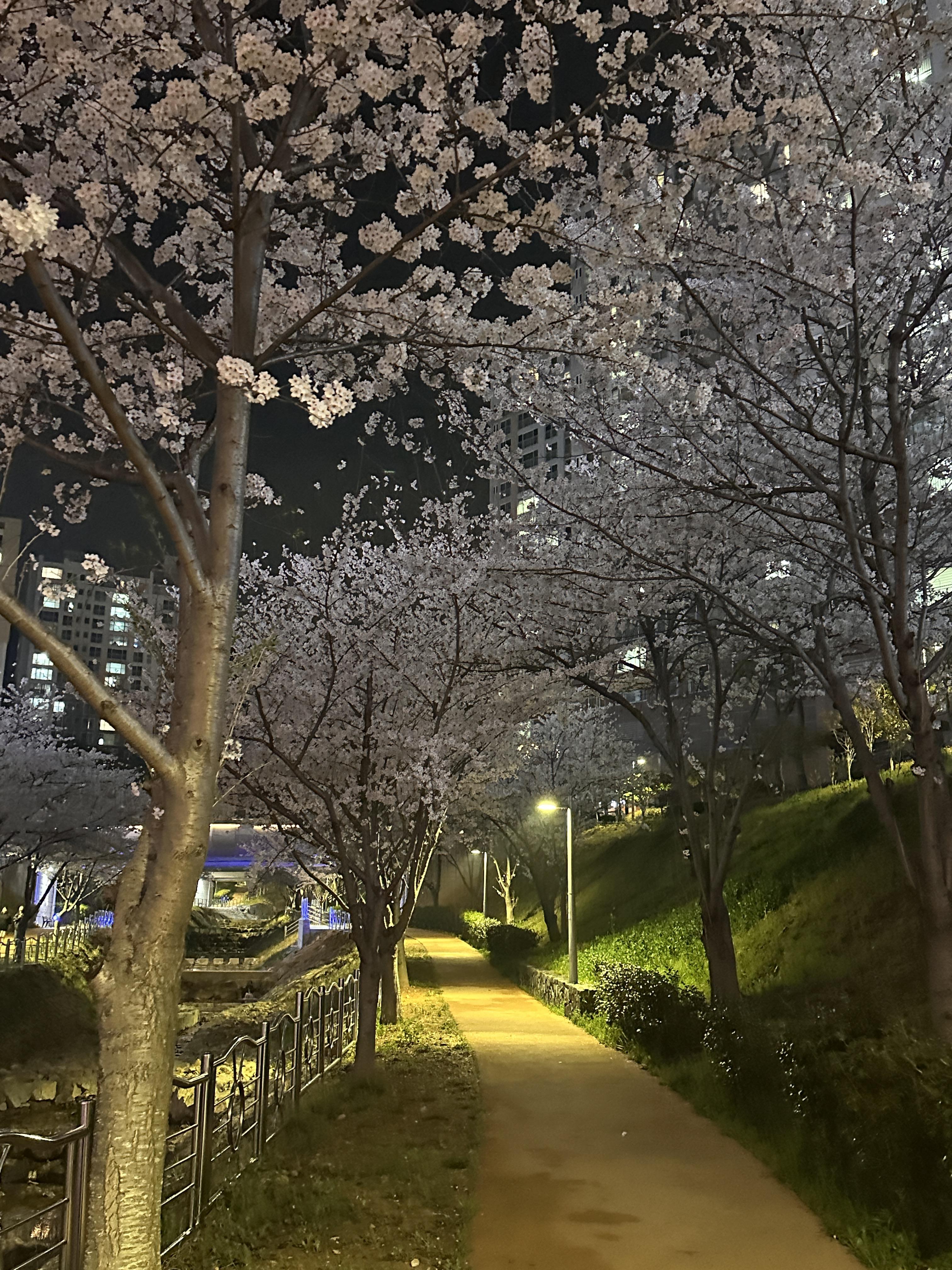 덕충동 실거주자 사진 2