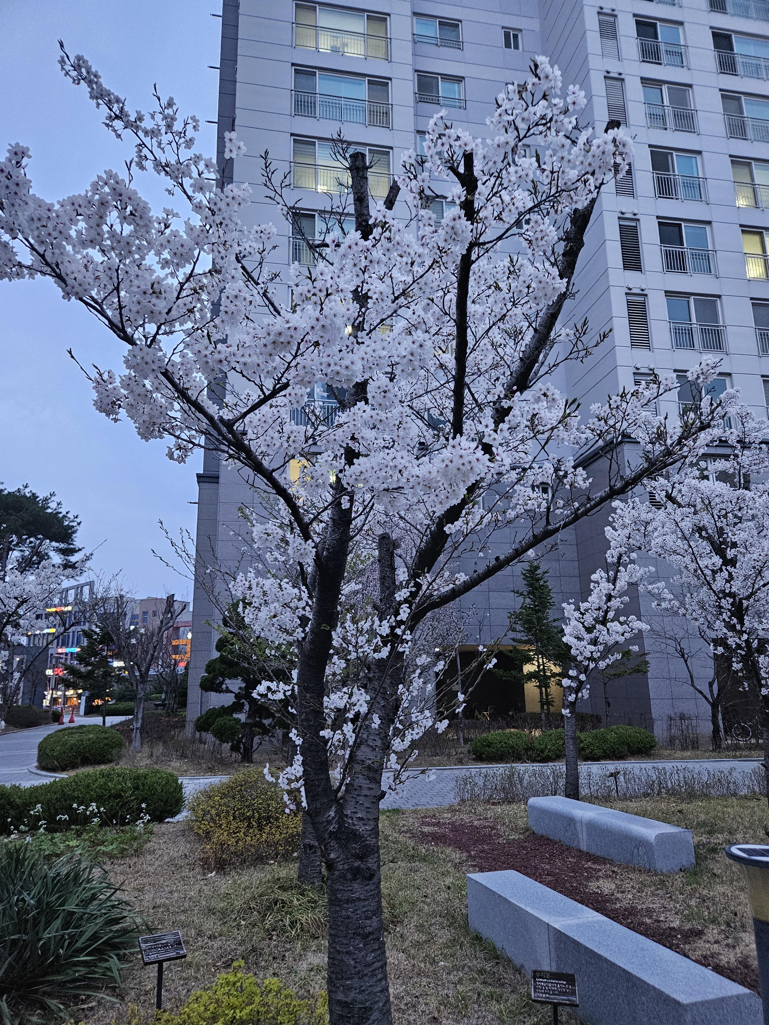 율곡동 실거주자 사진 6