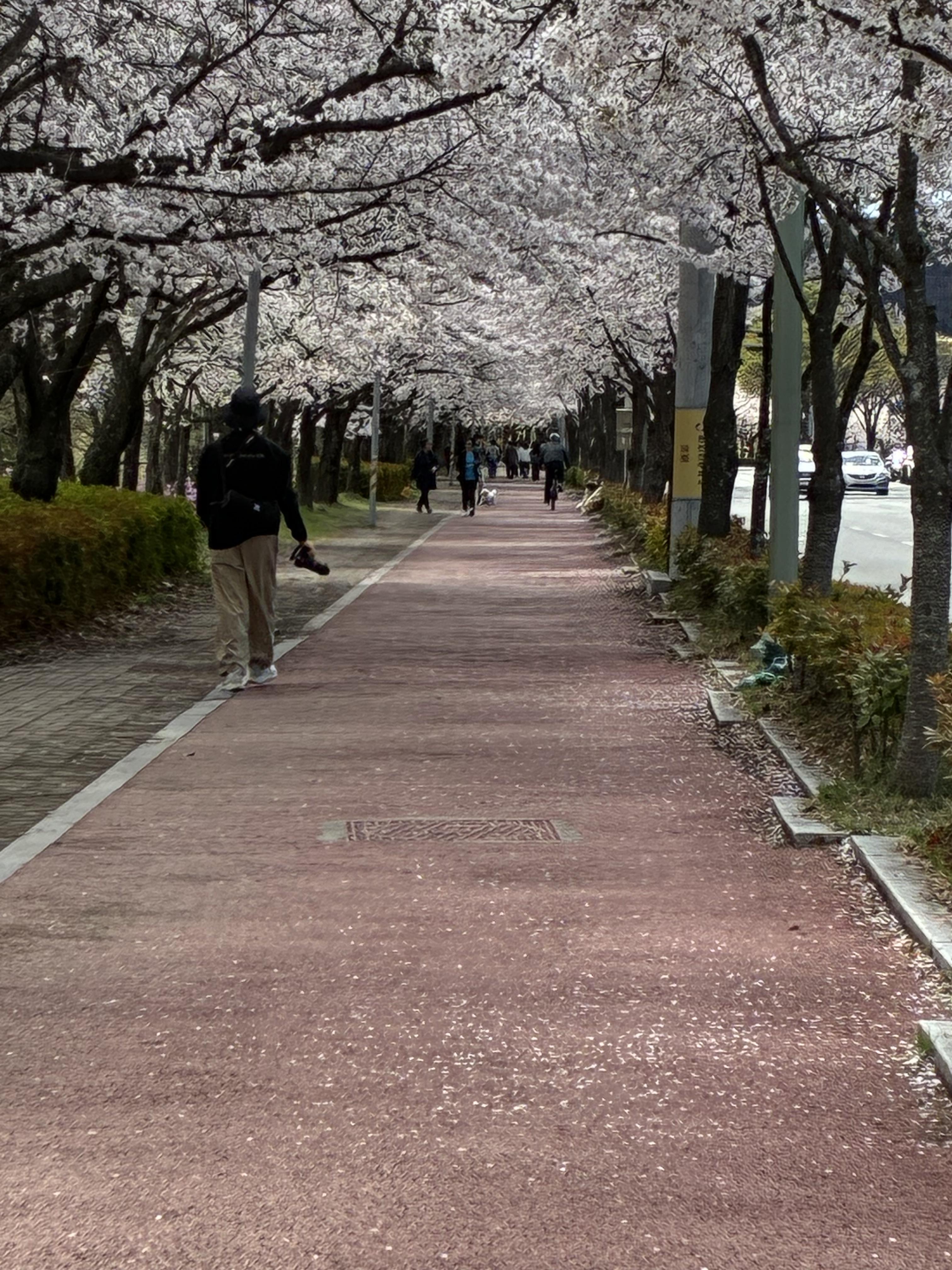 평거동 실거주자 사진 4