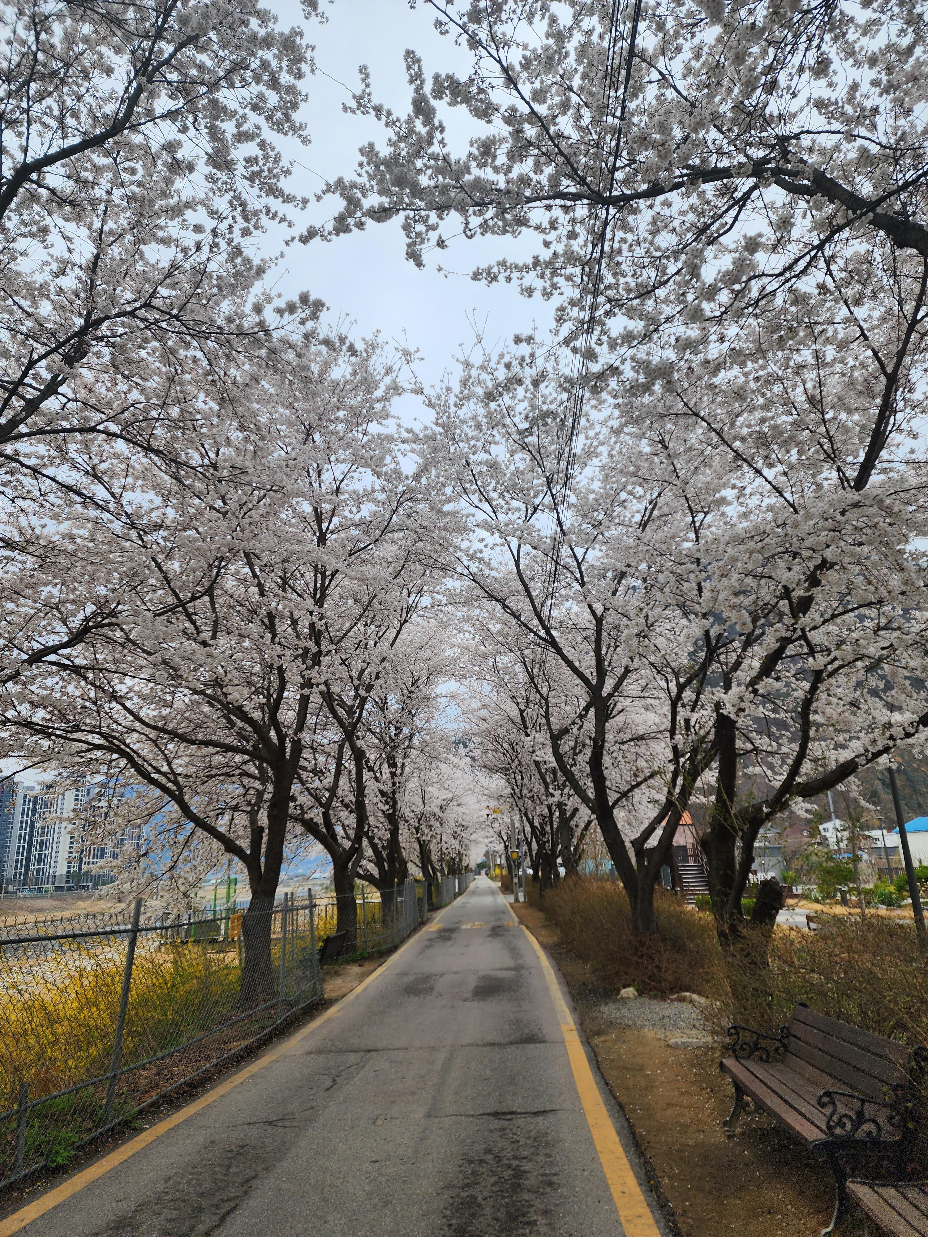 가평읍 실거주자 사진 3