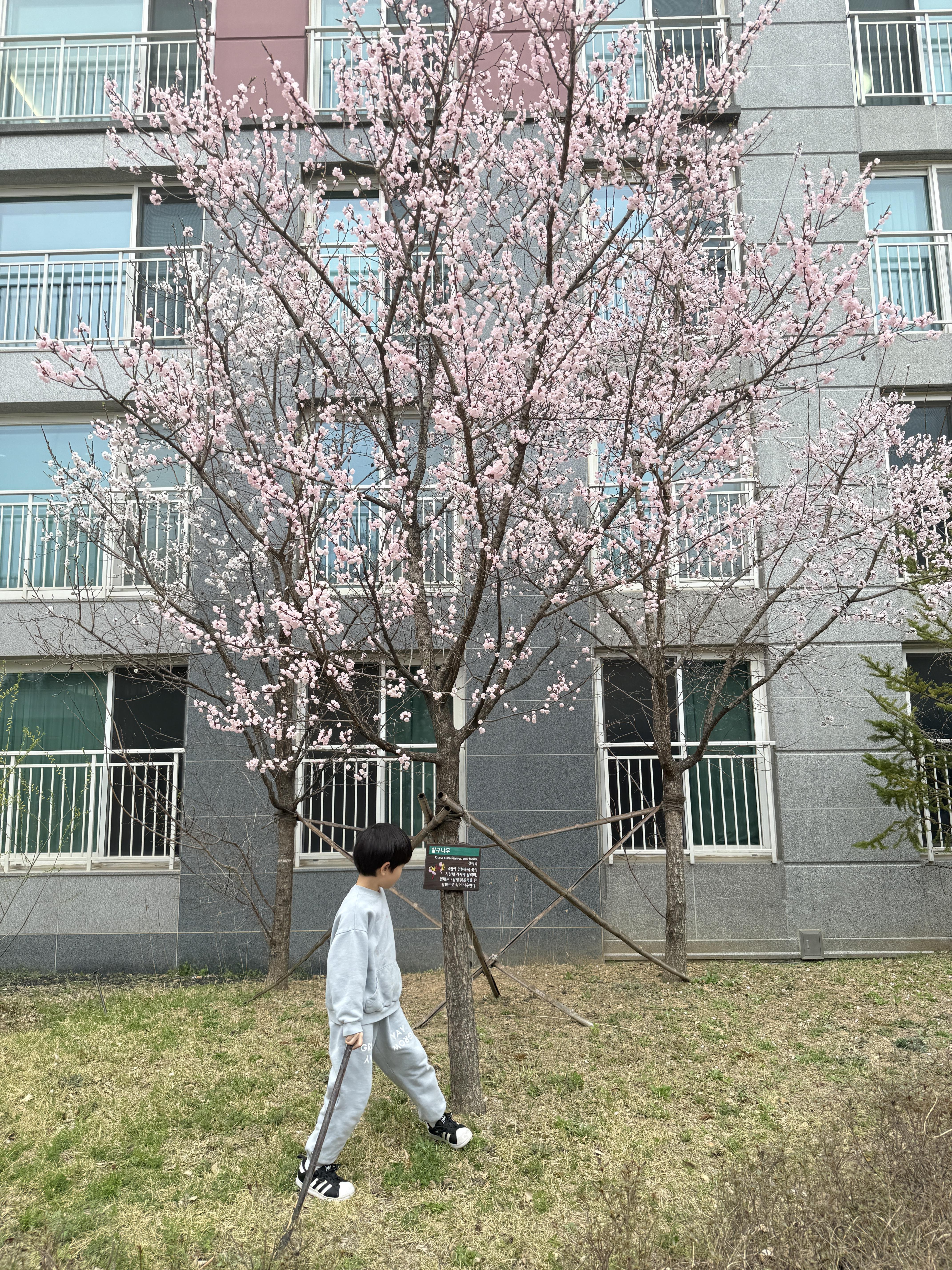 장지동 실거주자 사진 6