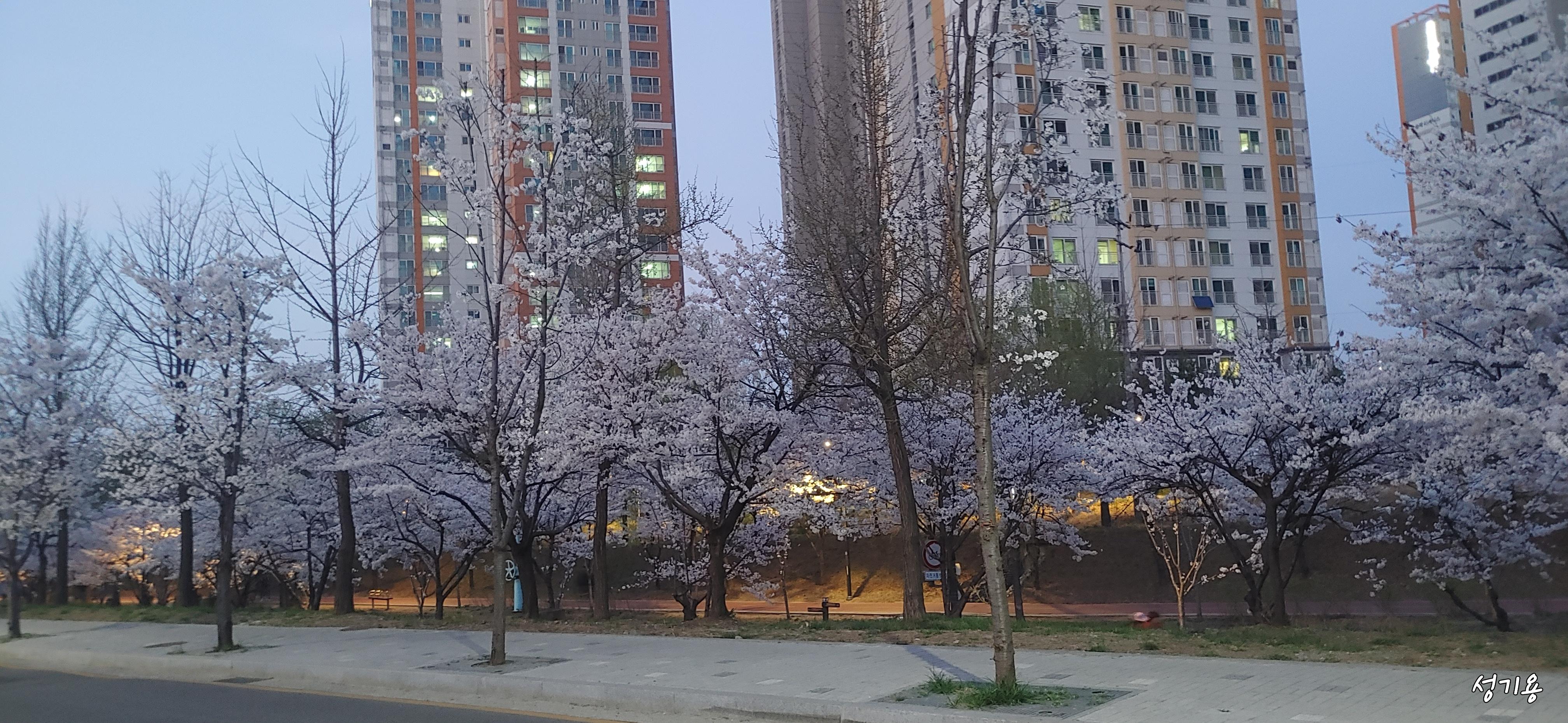마천동 실거주자 사진 2
