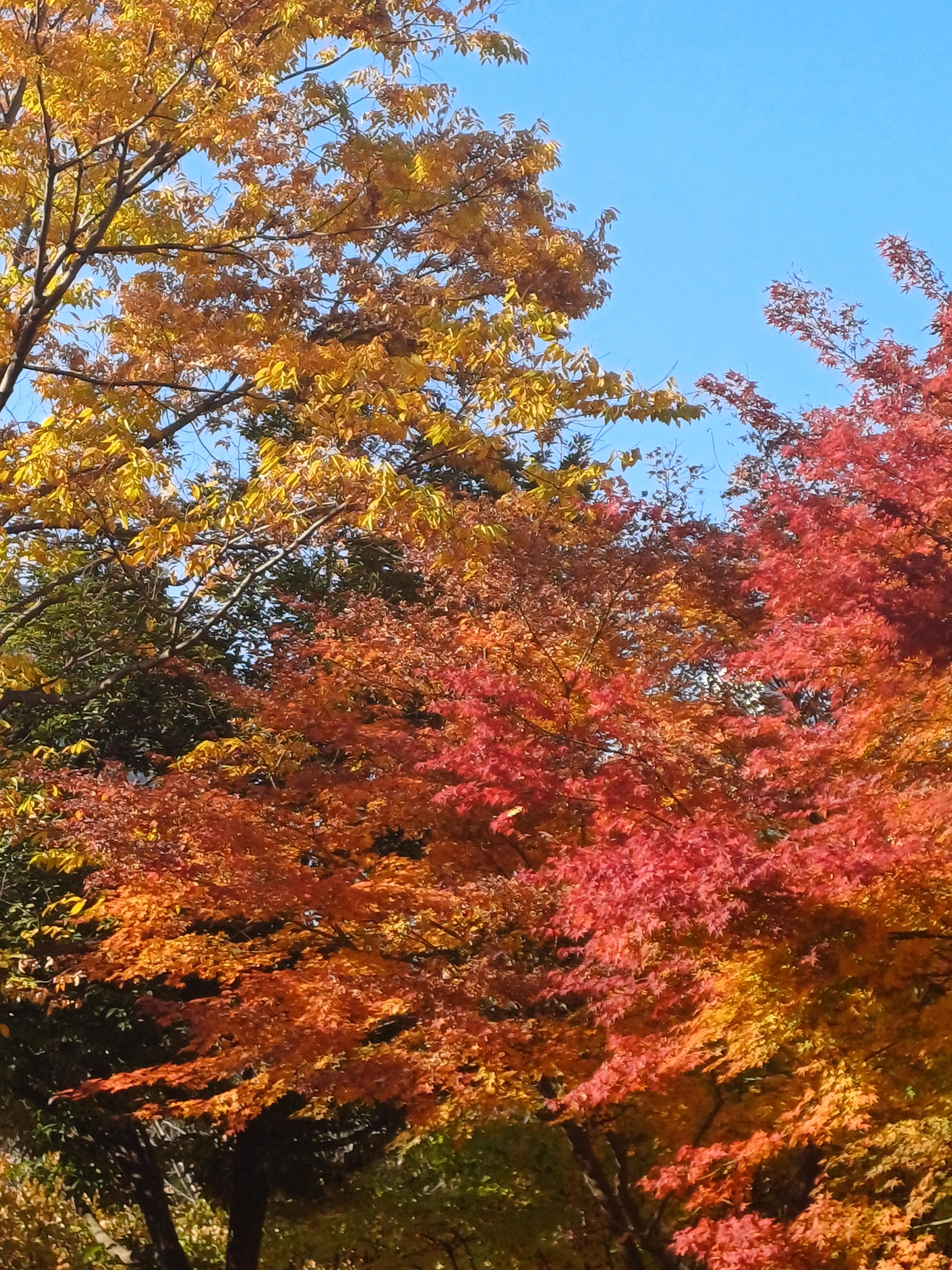 반여동 실거주자 사진 6