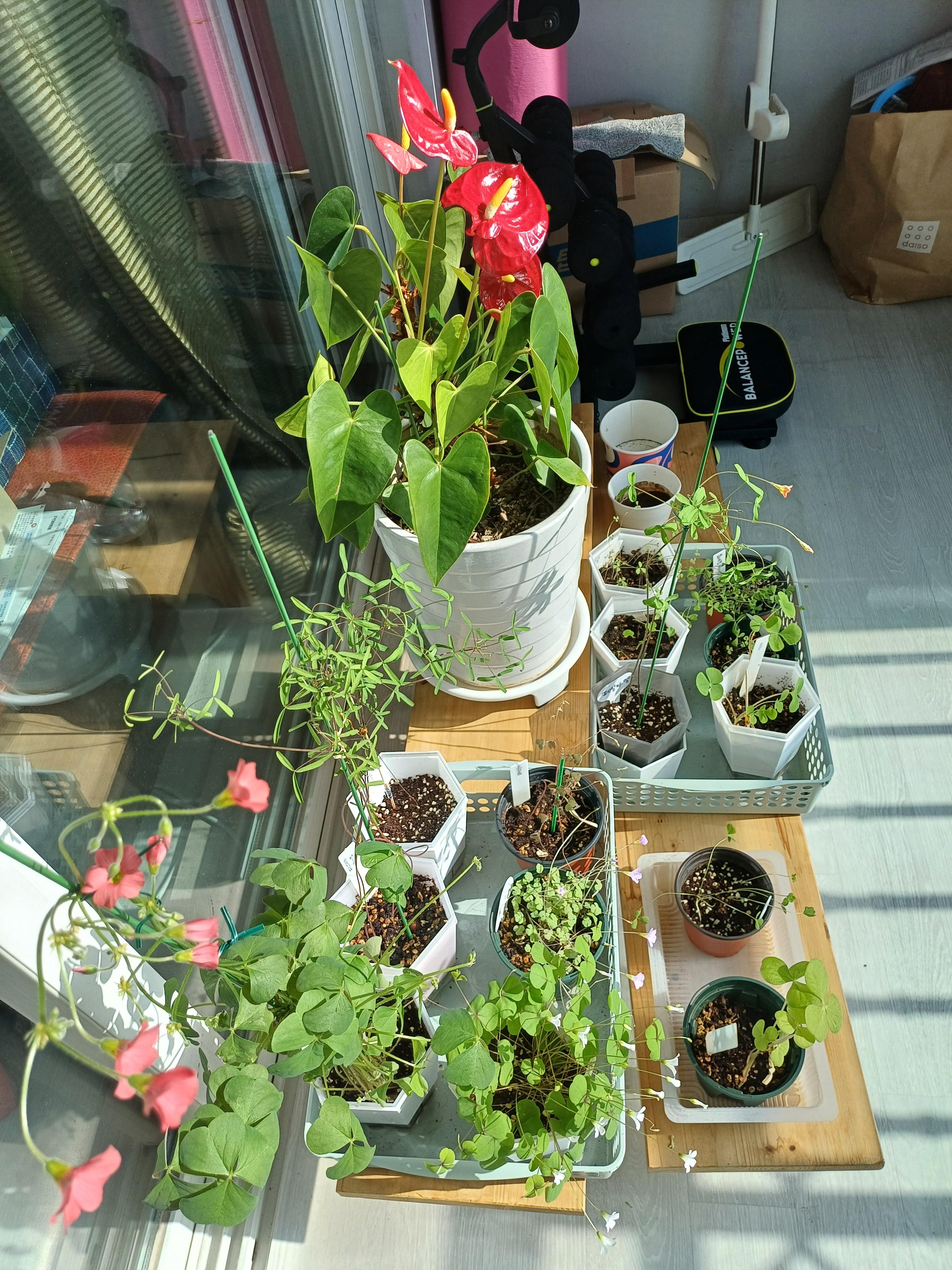 반여동 실거주자 사진 8