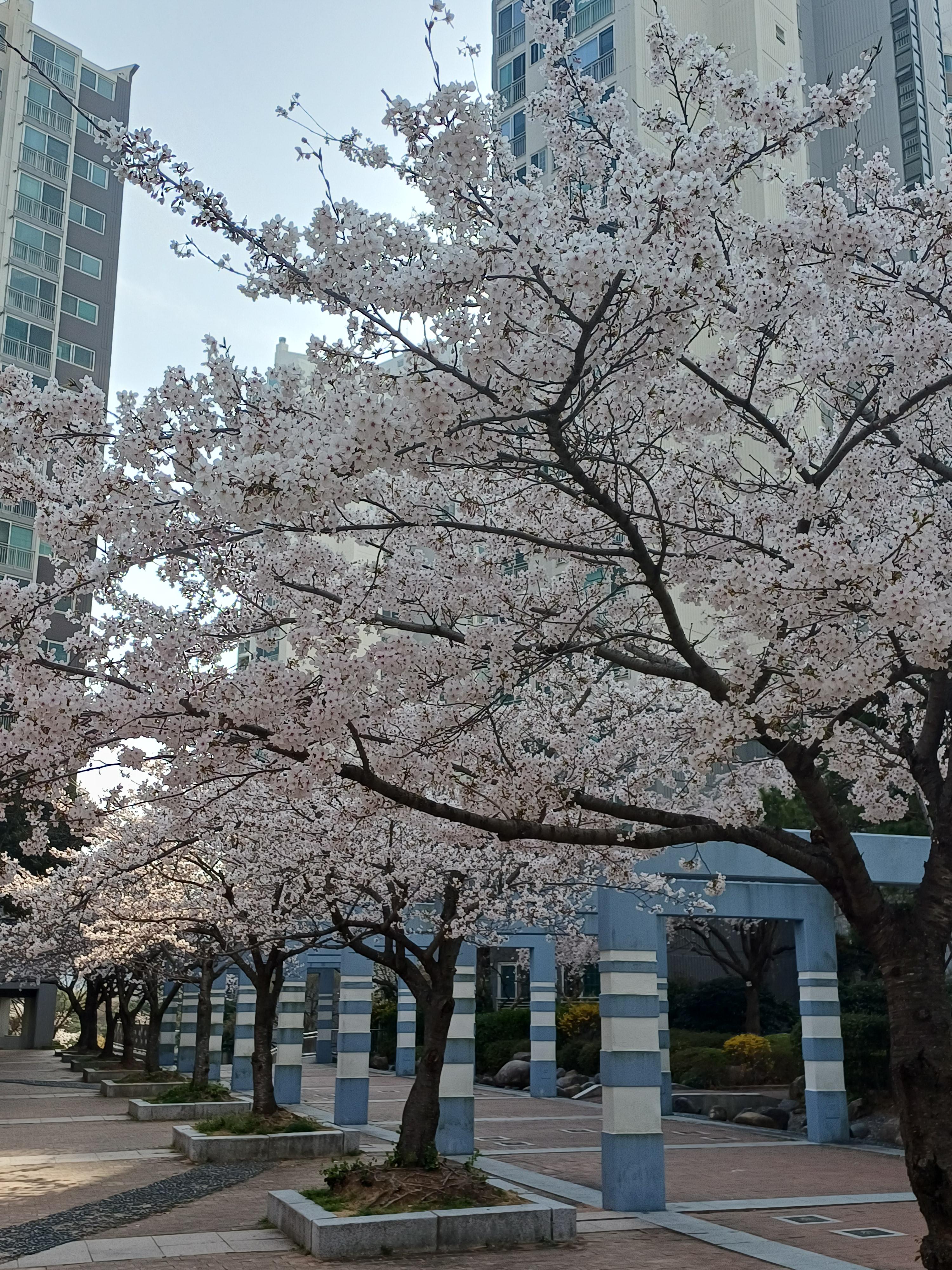 반여동 실거주자 사진 7