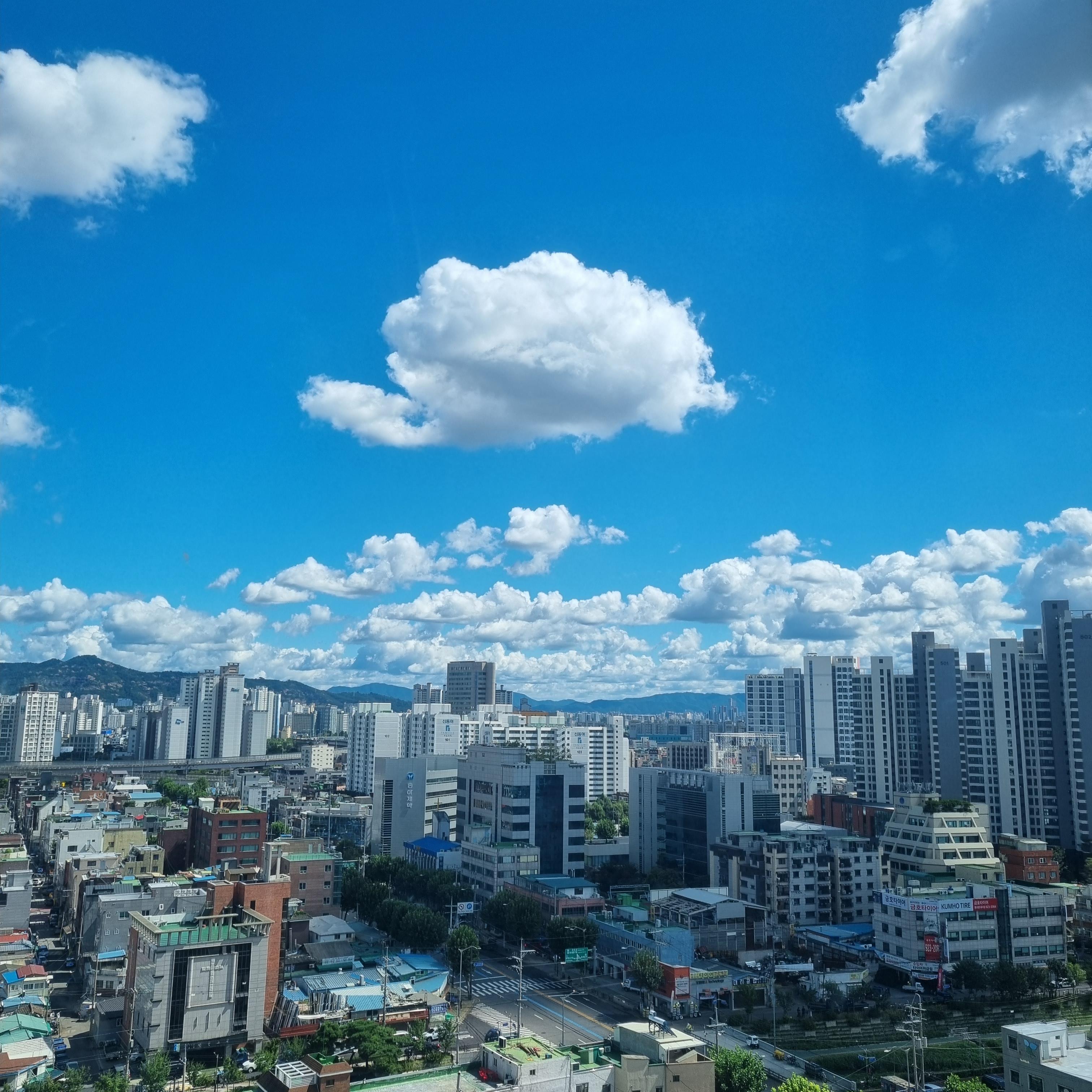 신설동 실거주자 사진 1