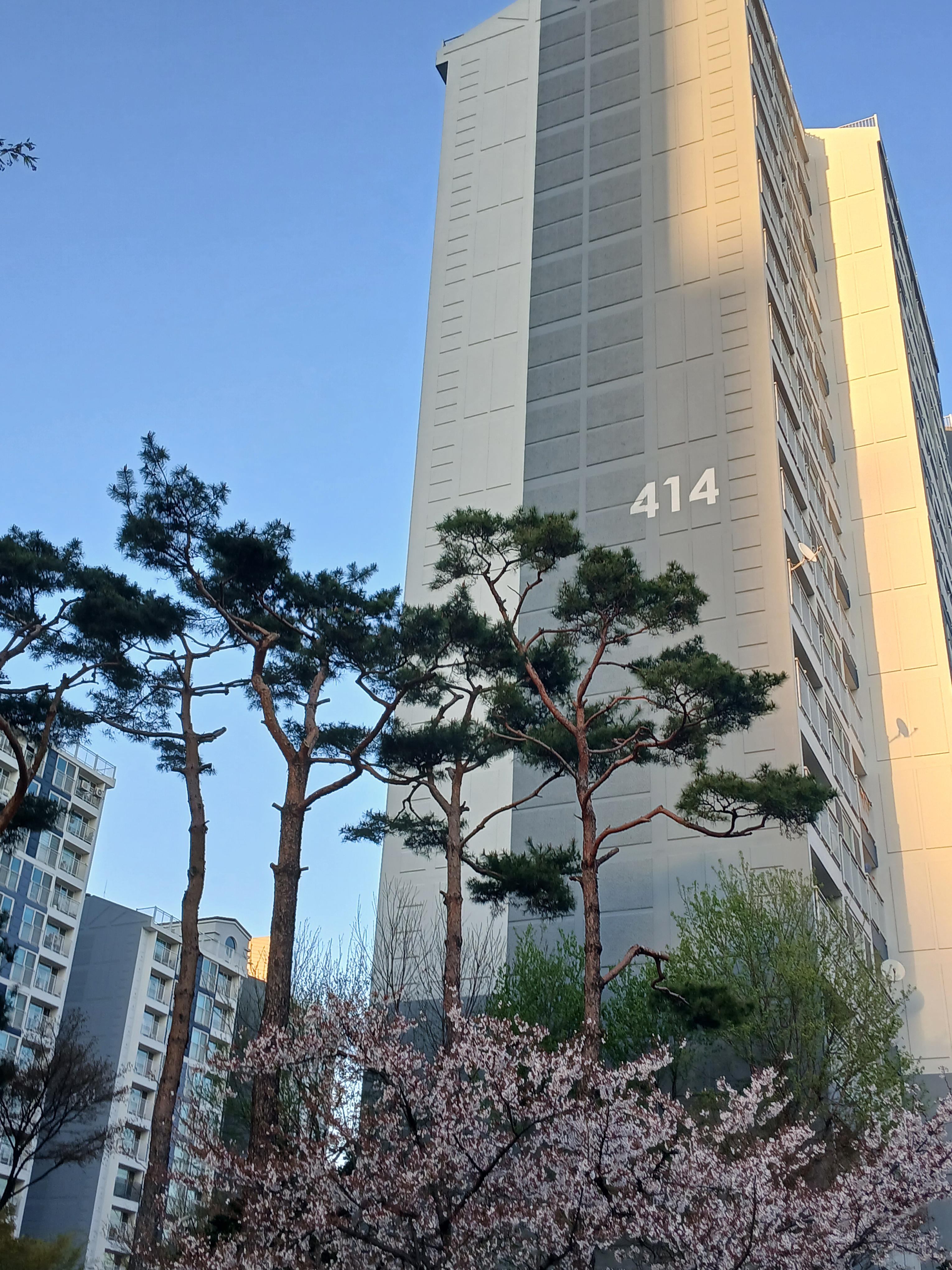 백현동 실거주자 사진 4