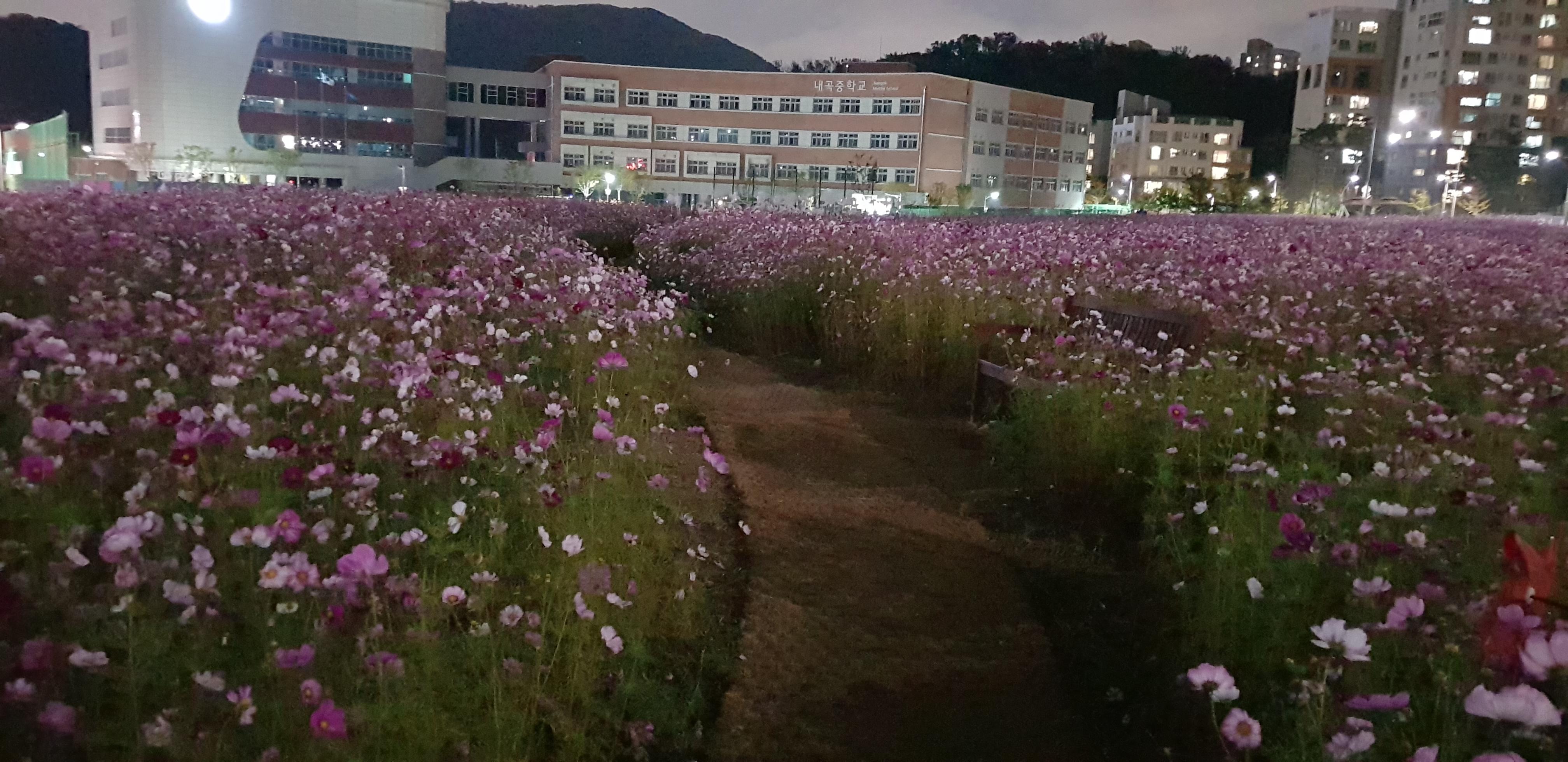 내곡동 실거주자 사진 2