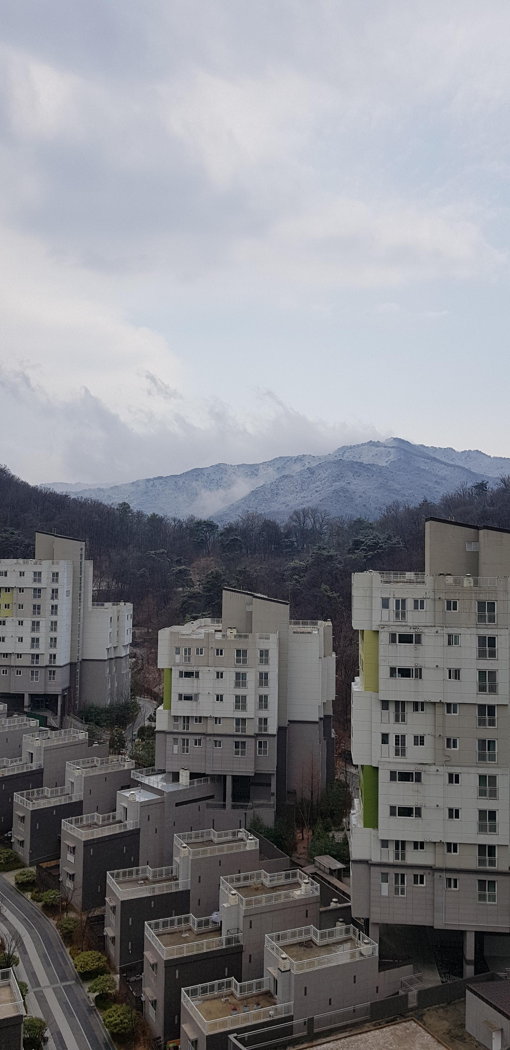 내곡동 실거주자 사진 4