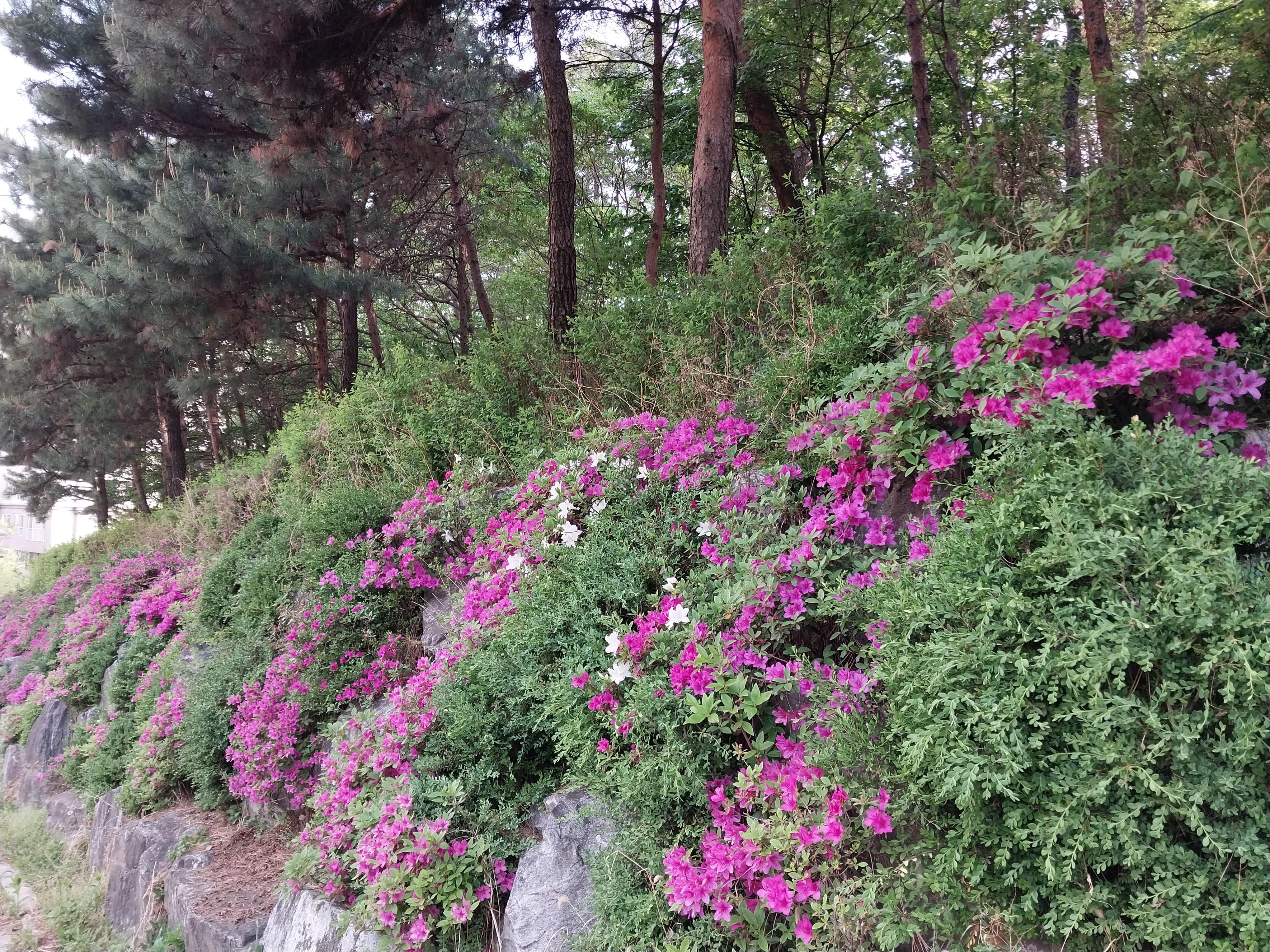 내곡동 실거주자 사진 3
