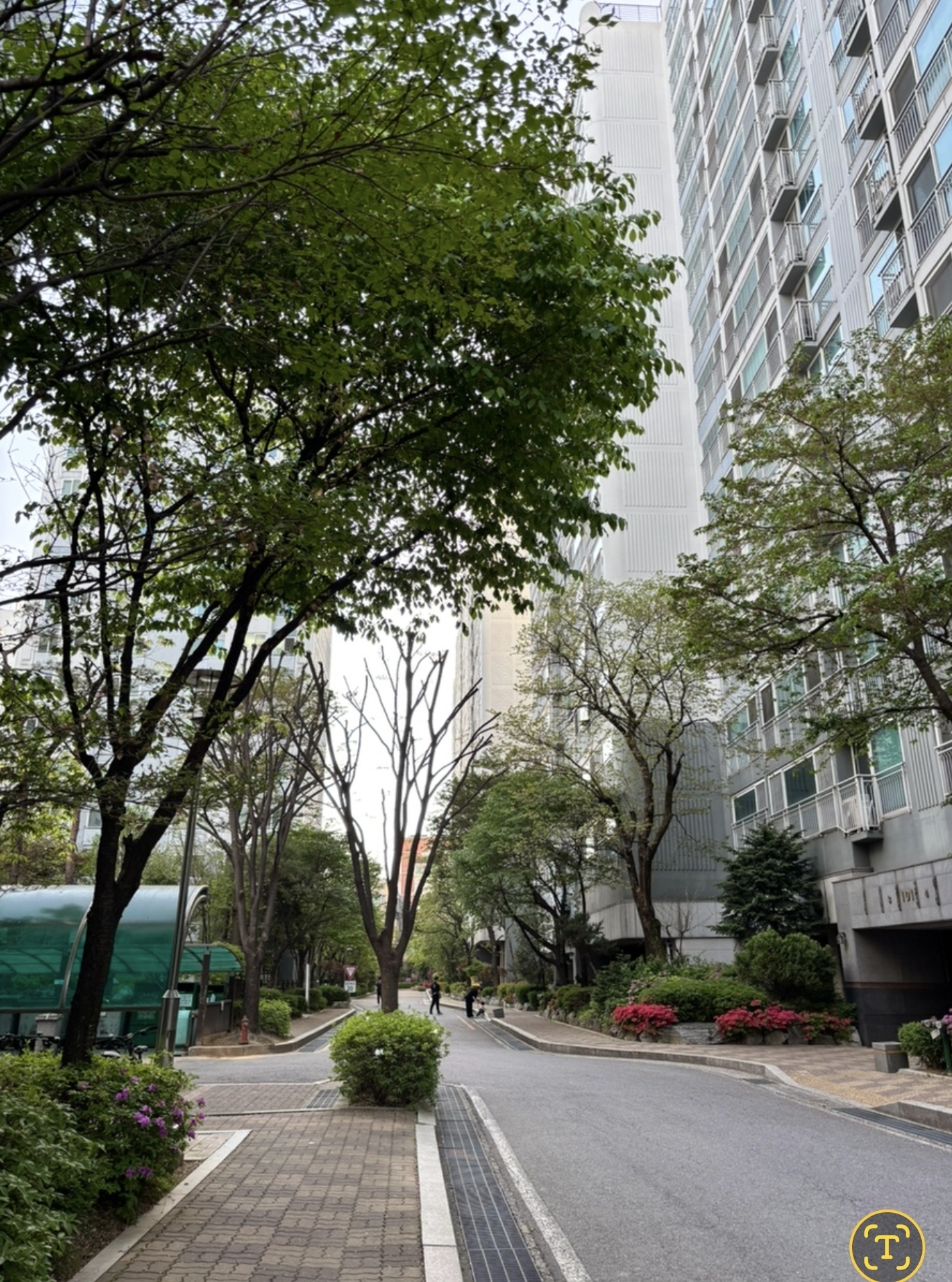 역곡동 실거주자 사진 6