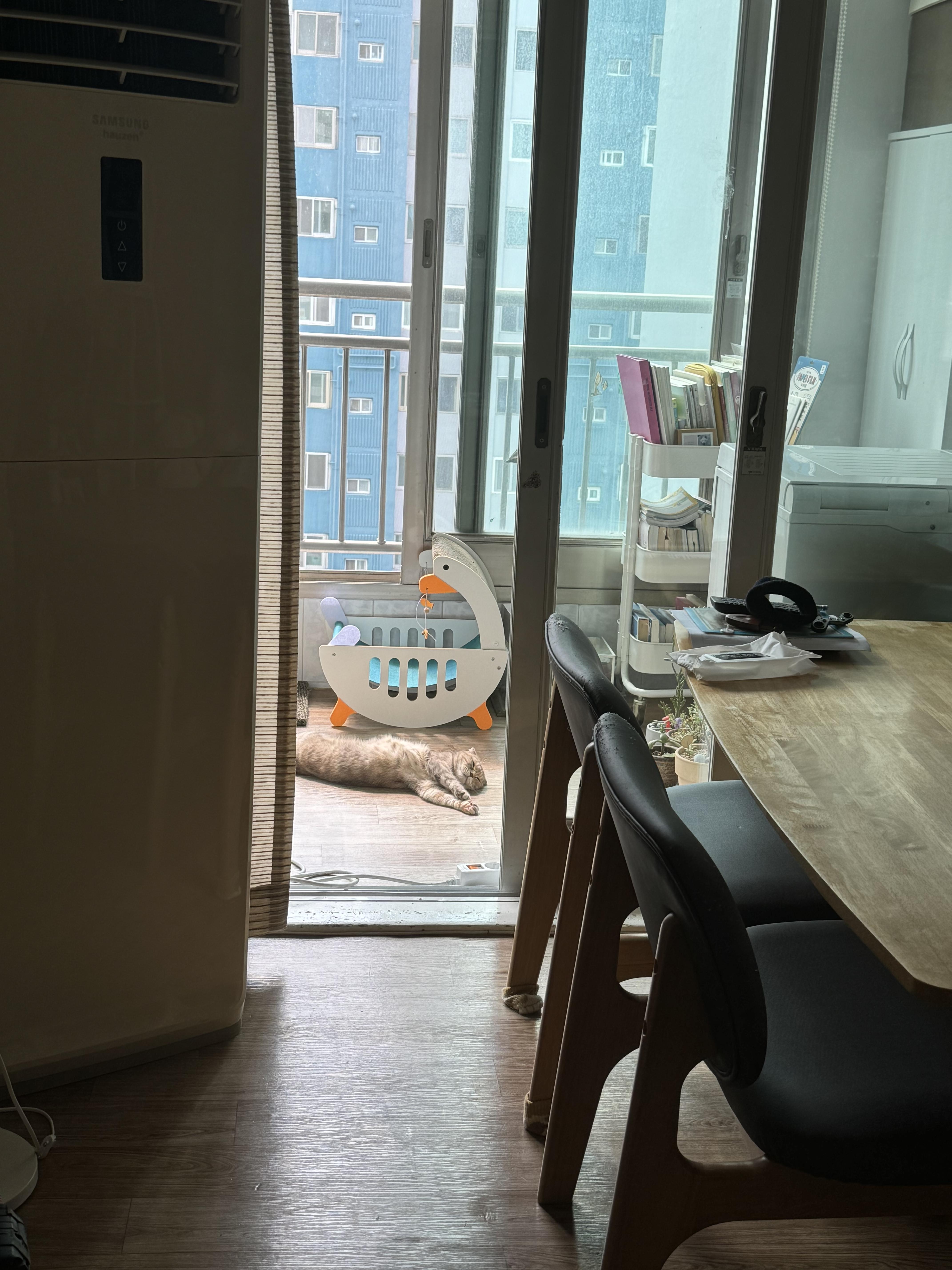 동천동 실거주자 사진 7