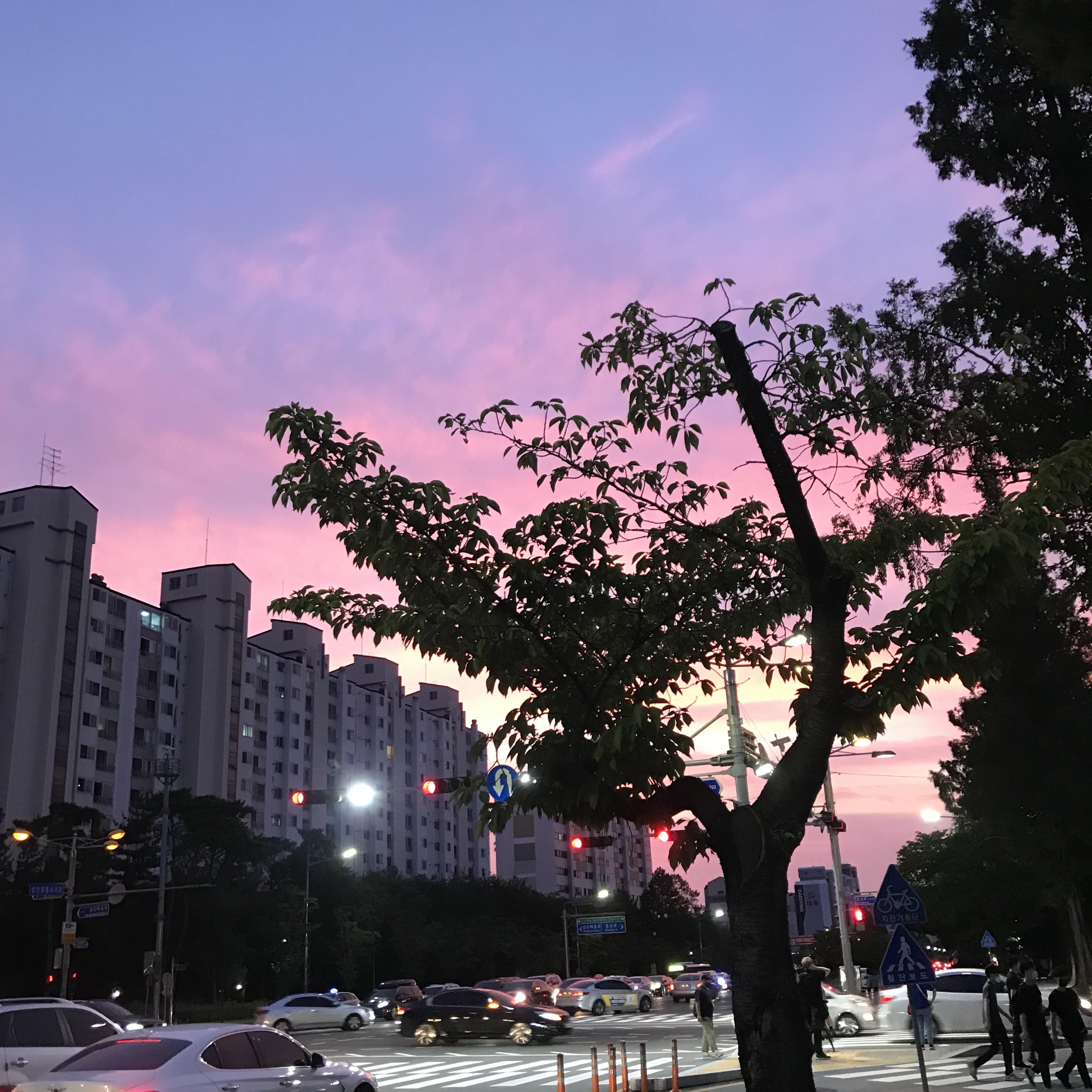 가음정동 실거주자 사진 2