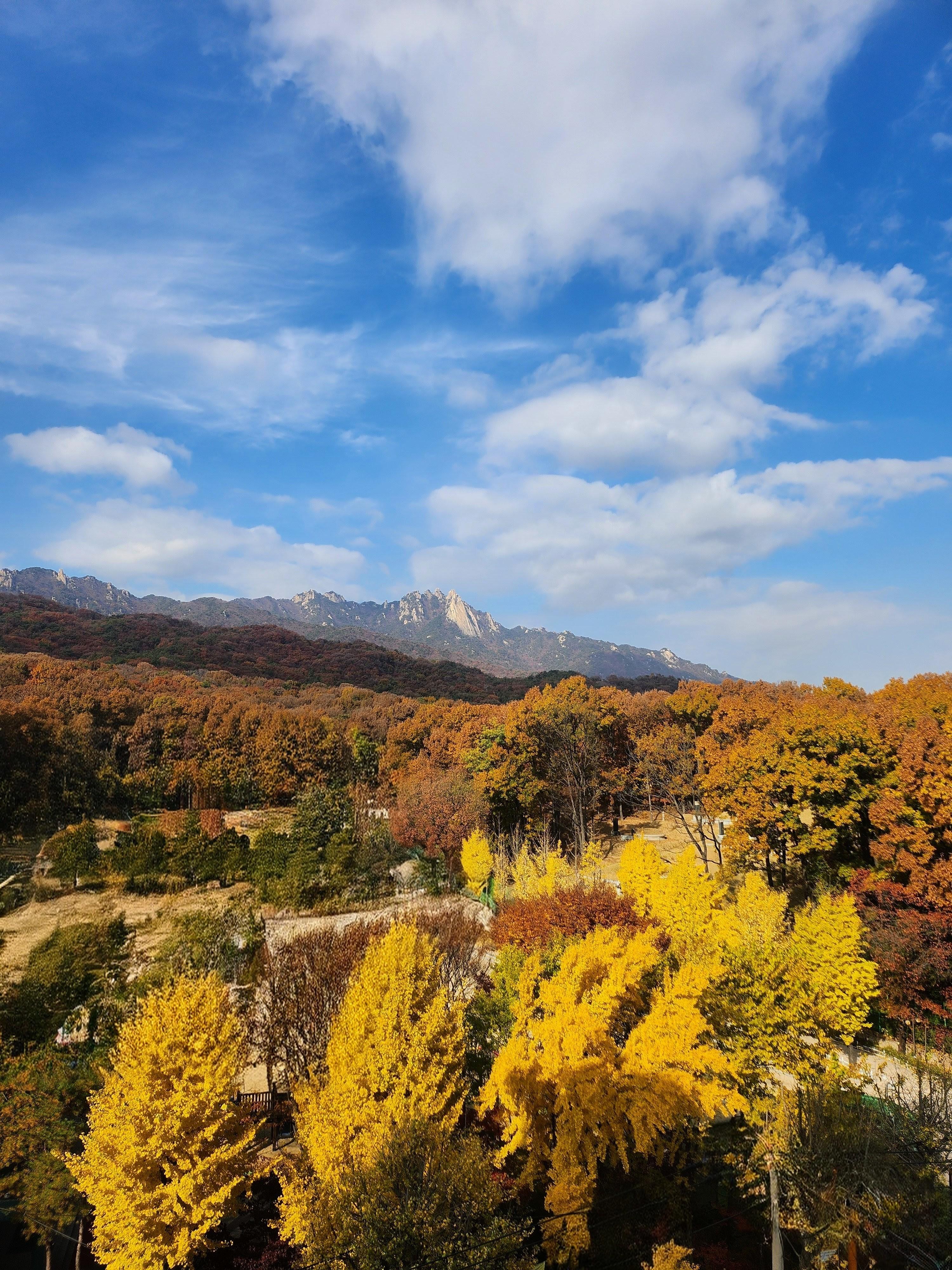방학동 실거주자 사진 5