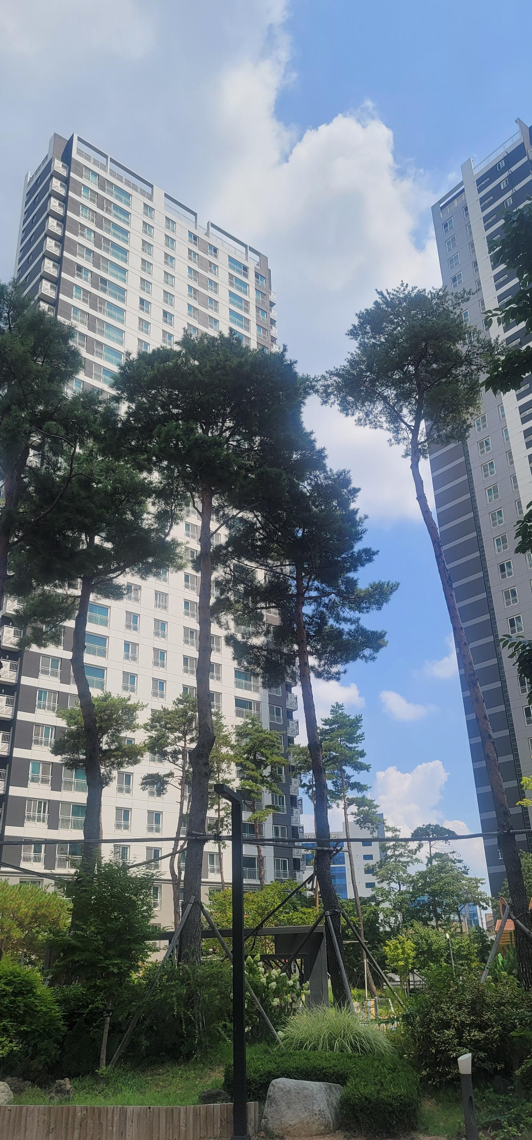중동 실거주자 사진 4