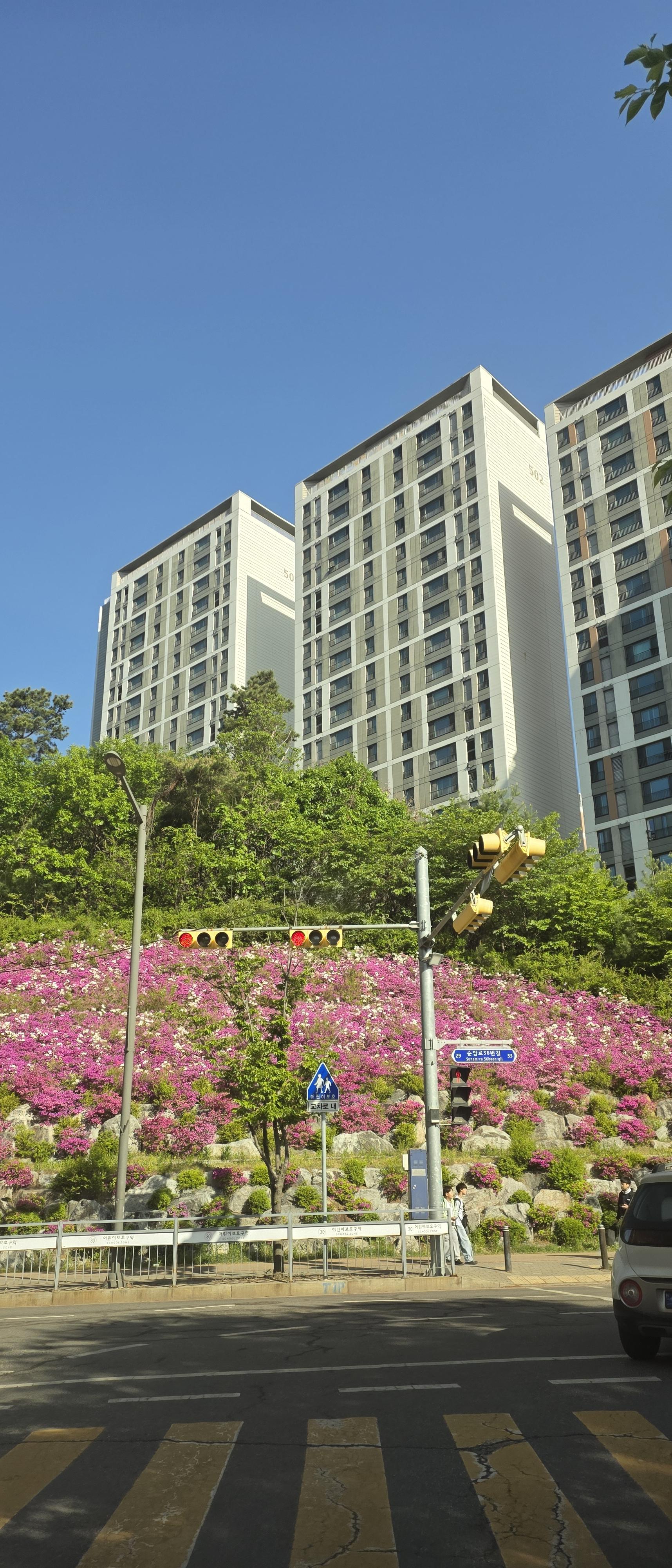 역동 실거주자 사진 1
