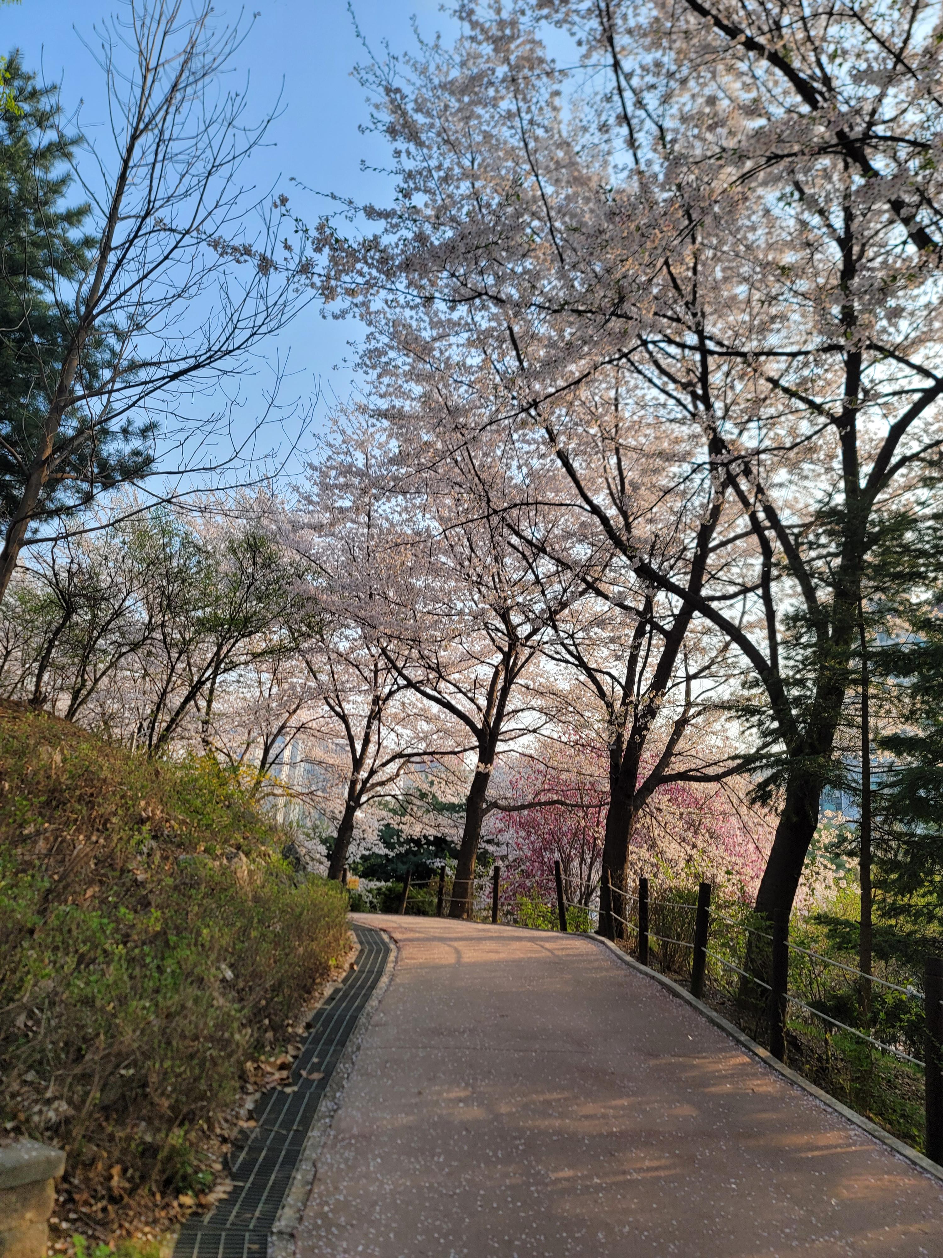 경안동 실거주자 사진 1