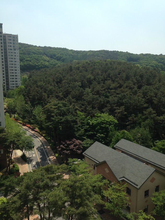 성복동 실거주자 사진 2