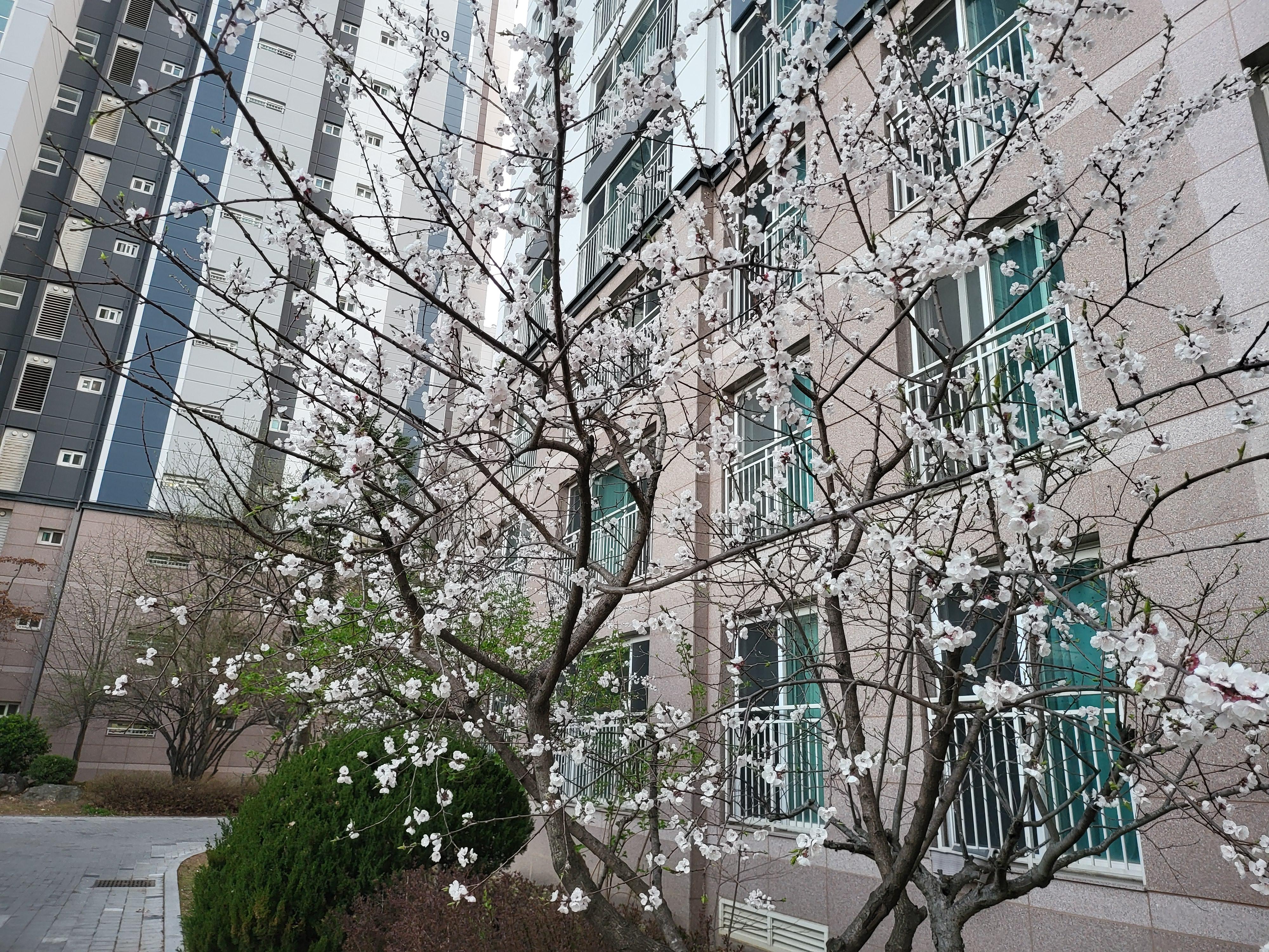 도내동 실거주자 사진 8