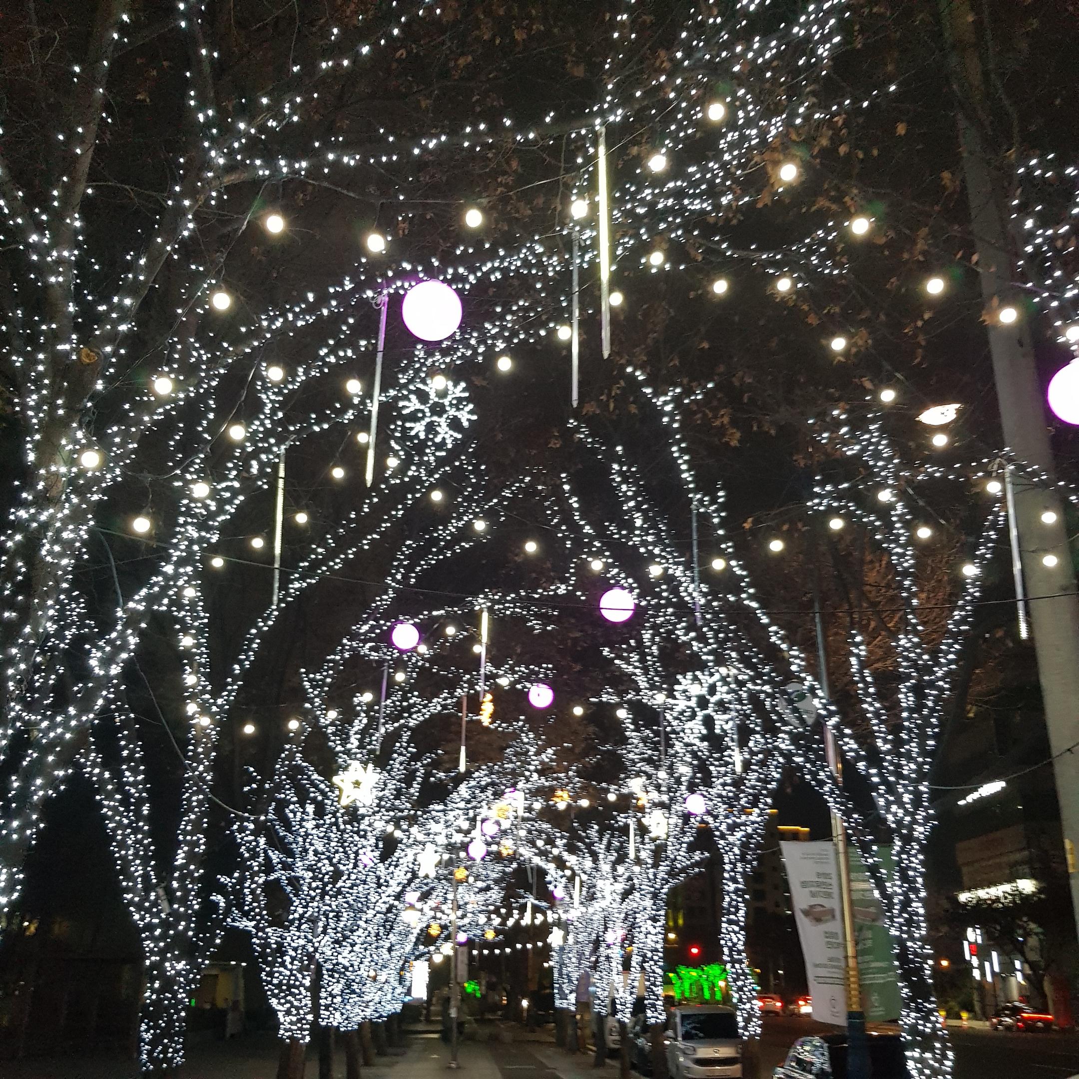 침산동 실거주자 사진 7