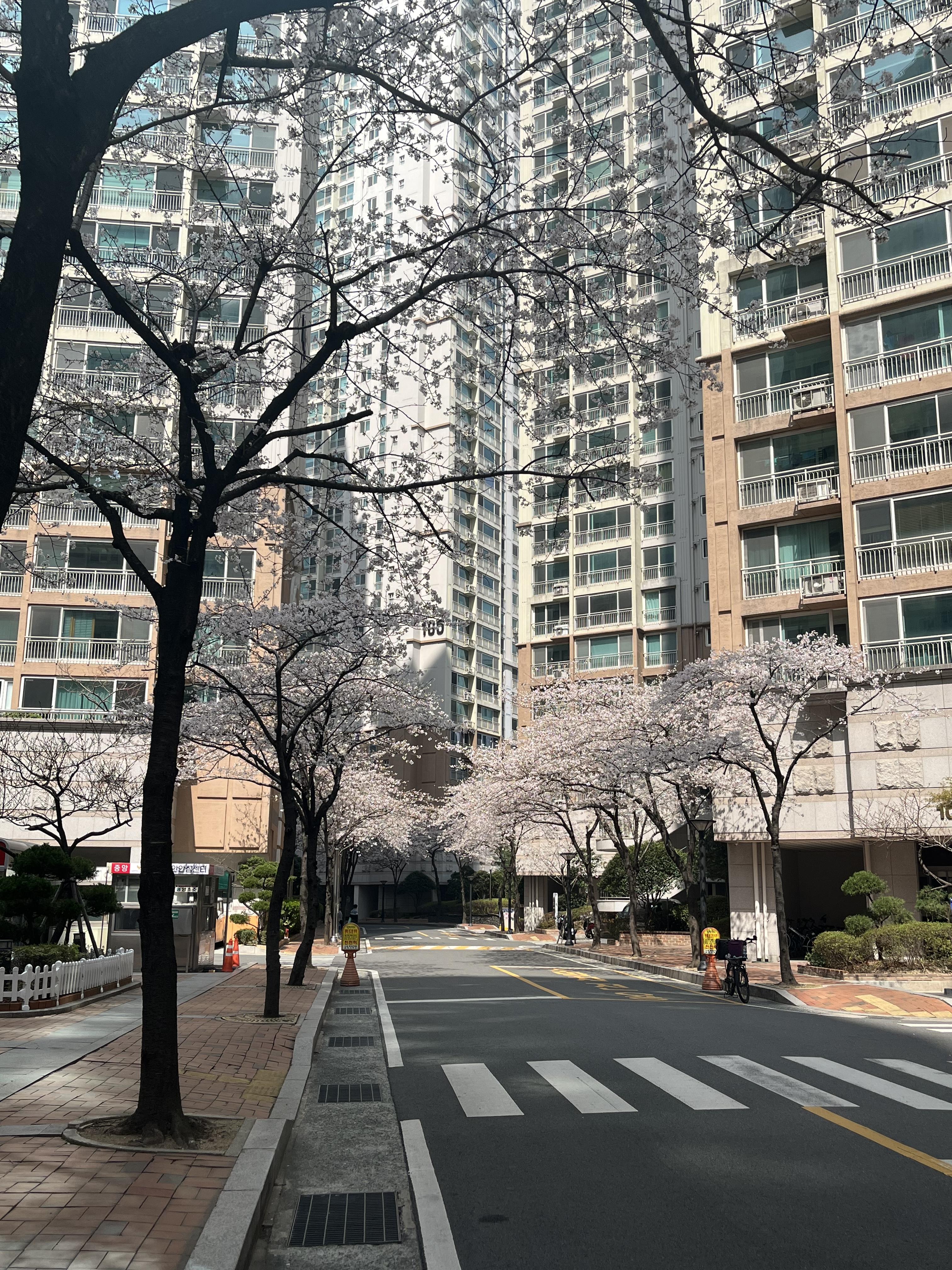 원신흥동 실거주자 사진 3