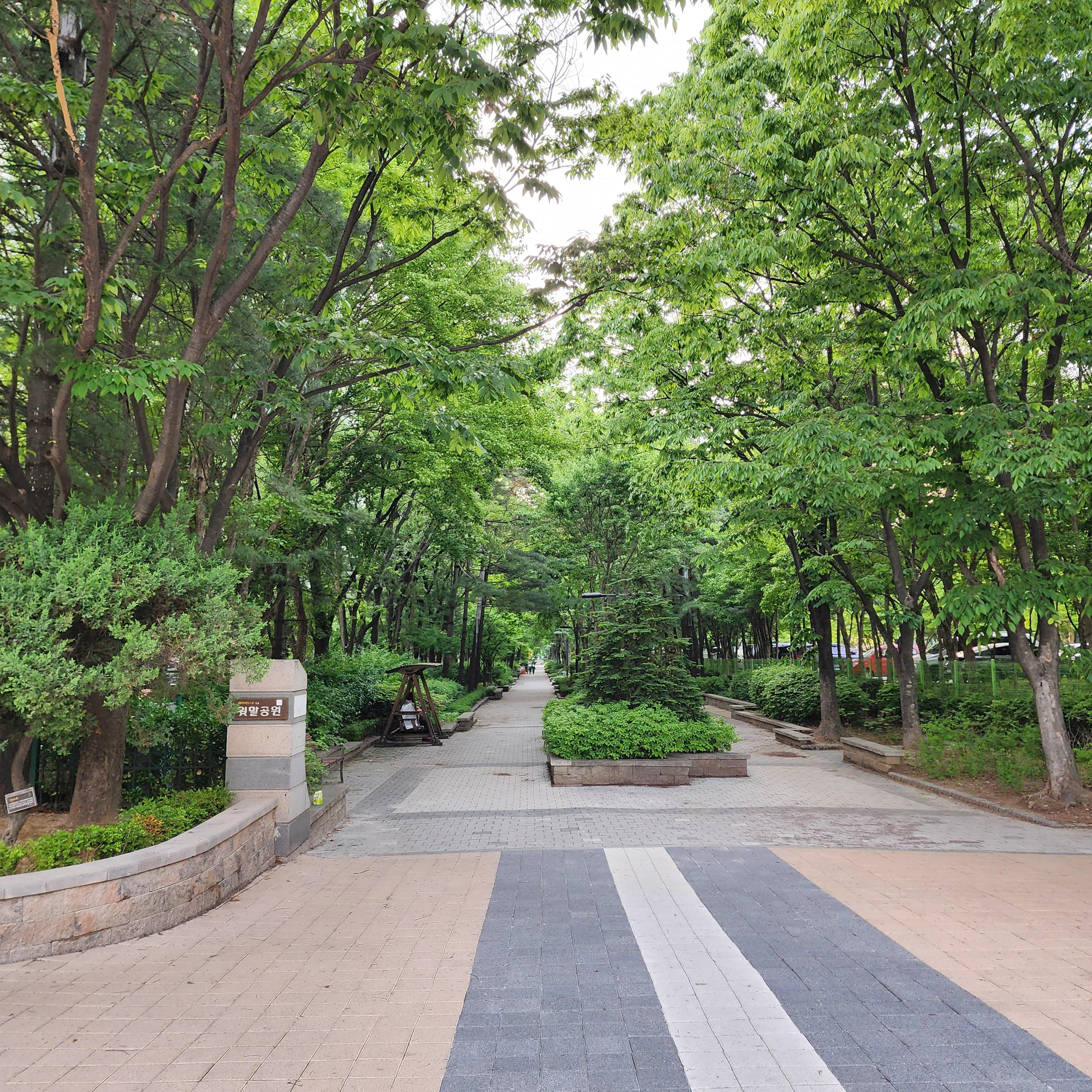 일산동 실거주자 사진 5
