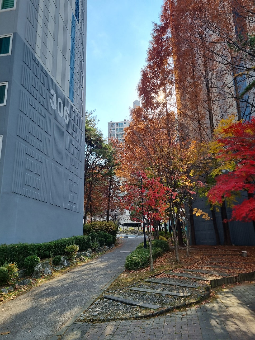 용운동 실거주자 사진 6
