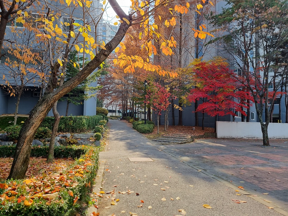 용운동 실거주자 사진 5